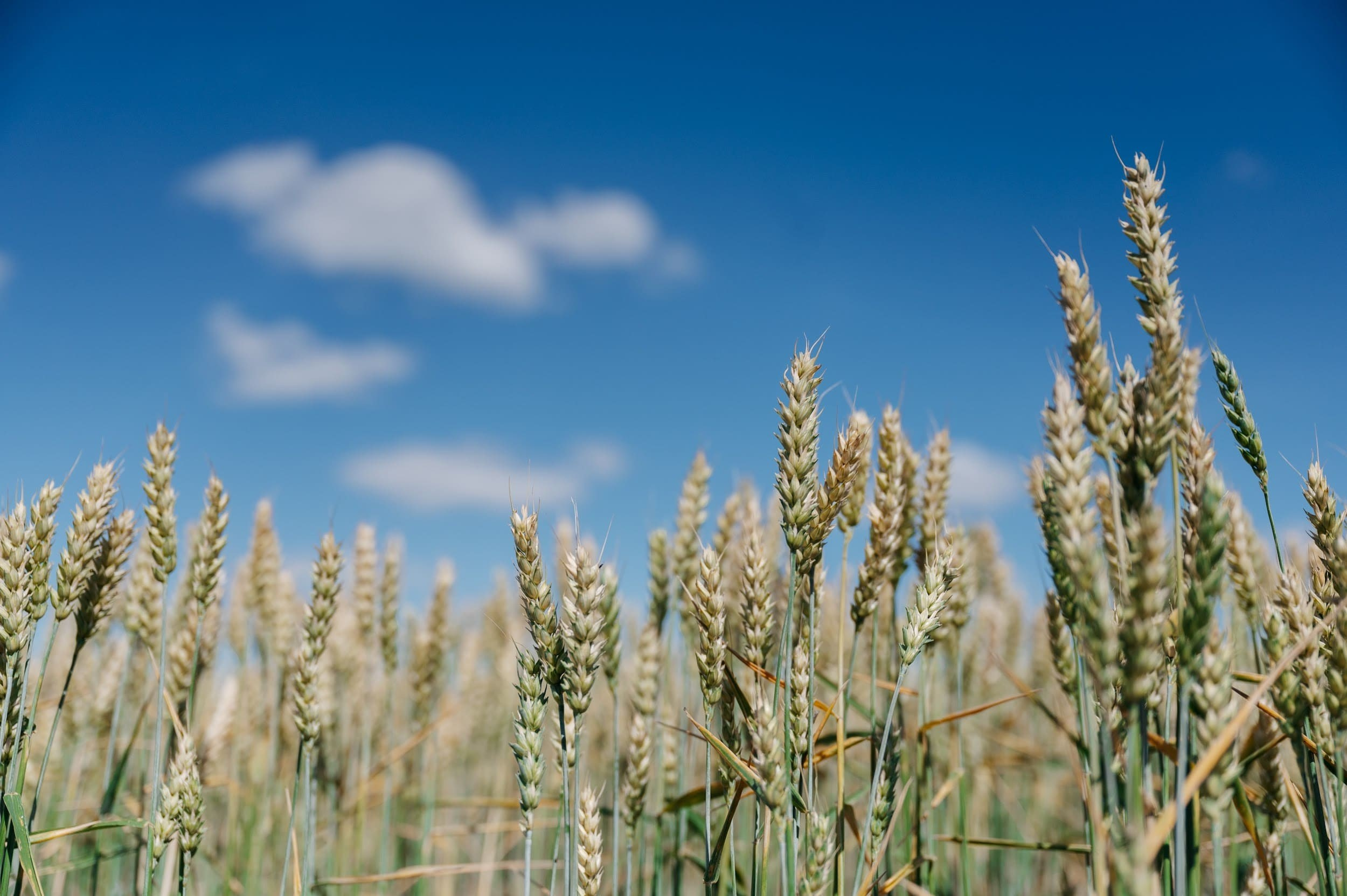 ЭКОНИВА. Владимир Дьяконов — Индустриальный и репортажной фотограф в России