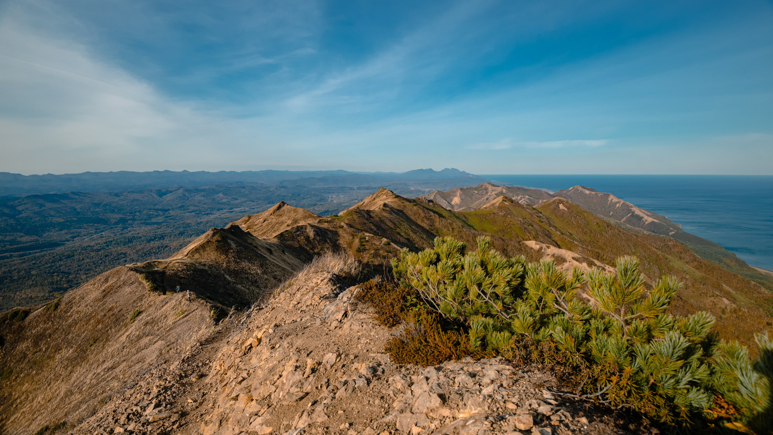 О.Сахалин. Фотограф. г. Южно-Сахалинск. Олег Толстов