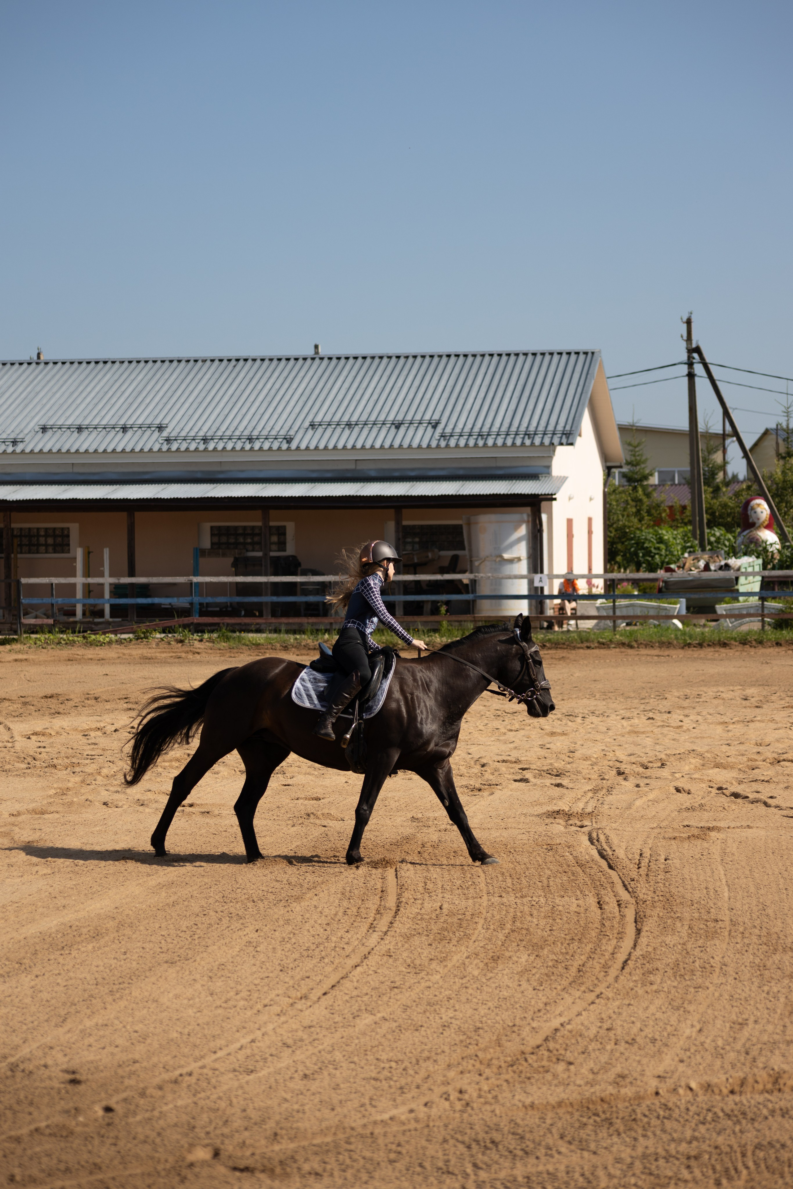 Конюшня. Фотограф в Москве и Истре