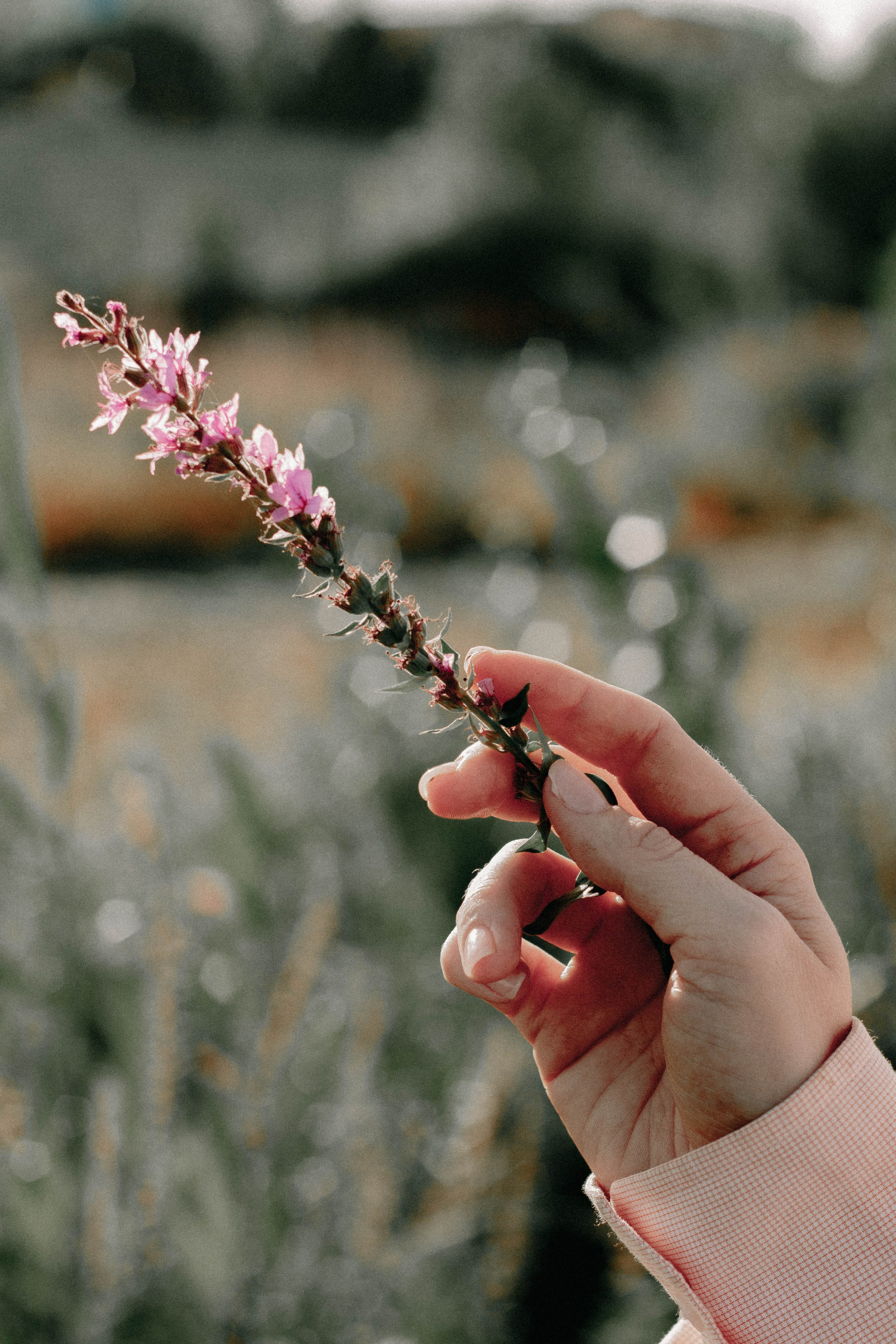 Валери. Женский фотограф Татьяна Ветер. Работаю в Волгограде
