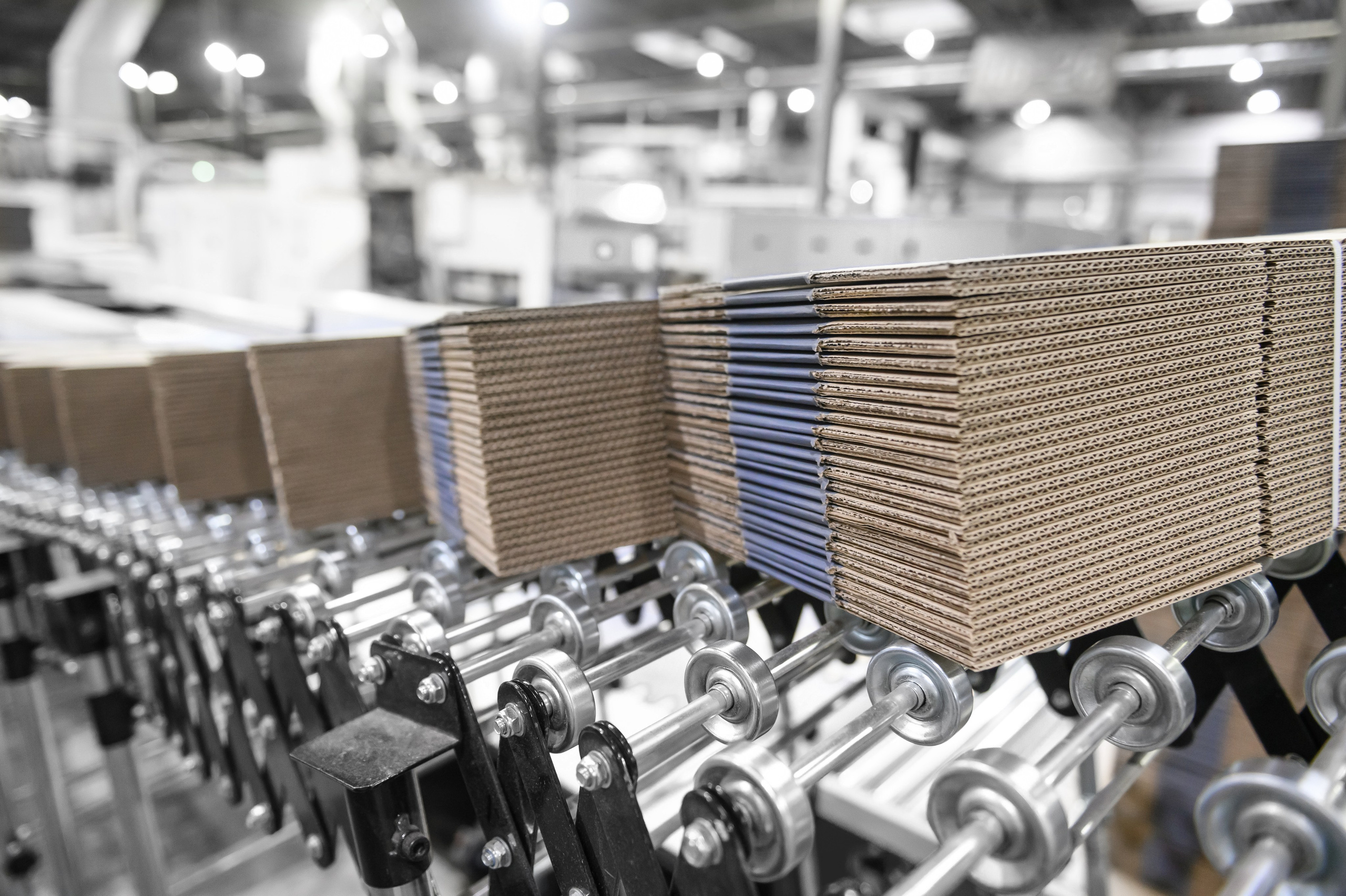 Проекты. Профессиональный фотограф Вячеслав Плацында | Липецк |