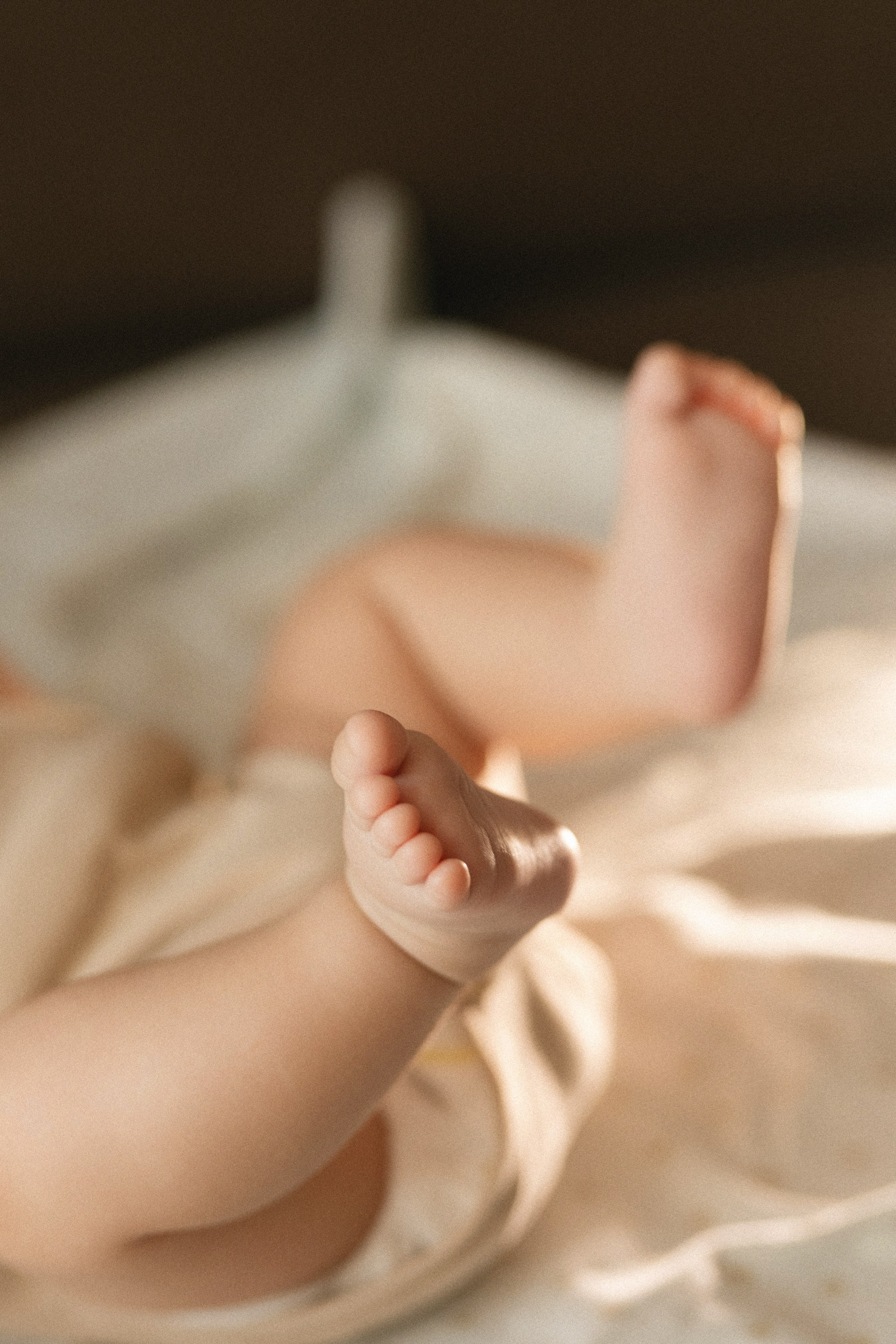 «ТРОЕ В ДОМЕ, НЕ СЧИТАЯ СОБАКИ». Maria Startseva Photo