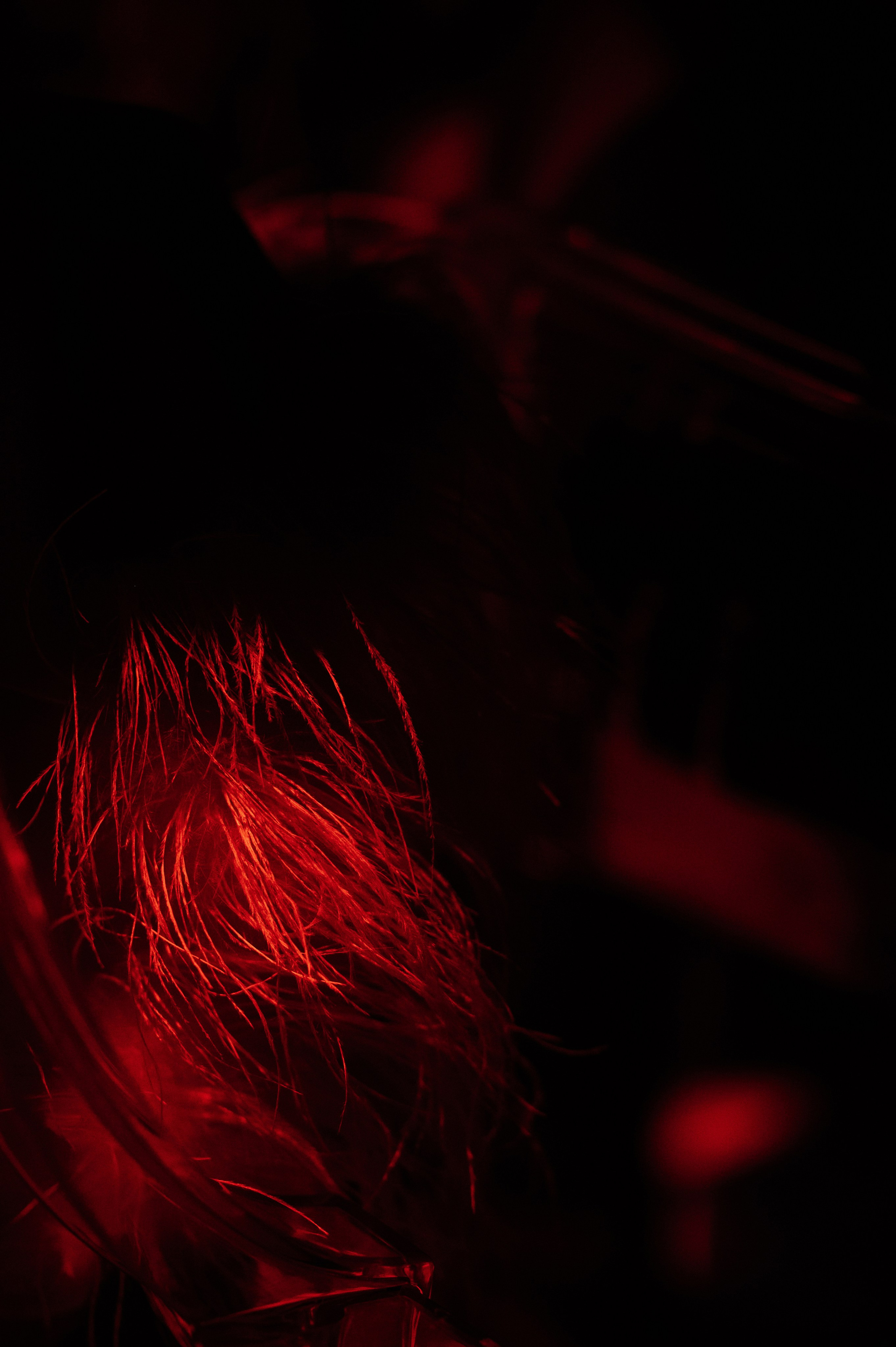 ПСИХОЛОГИЧЕСКИЙ ТЕАТР «СТЫД». Свадебный фотограф в Москве и по всему Миру Андрей Медведников