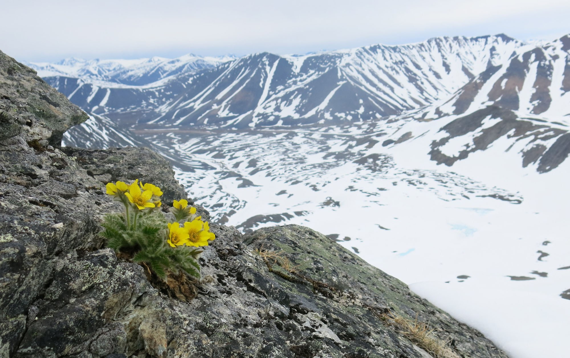 Фотоэкспедиция по Чукотке в 2025 году