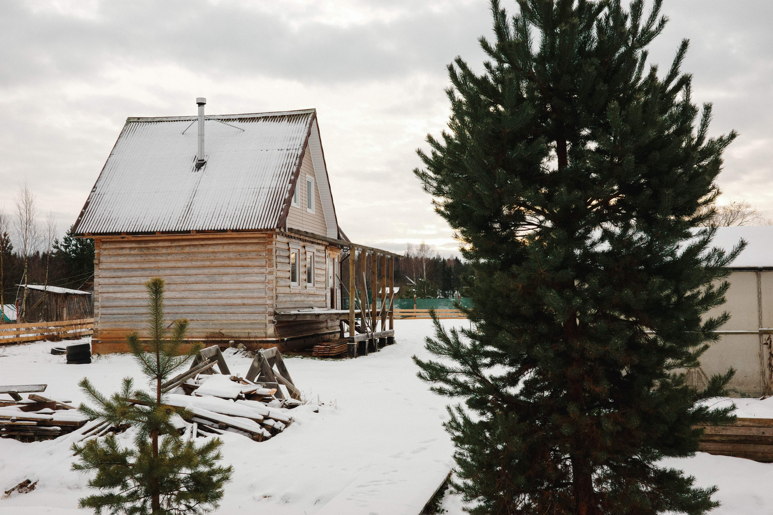 2025.01. Фотограф Алексей Алексеев