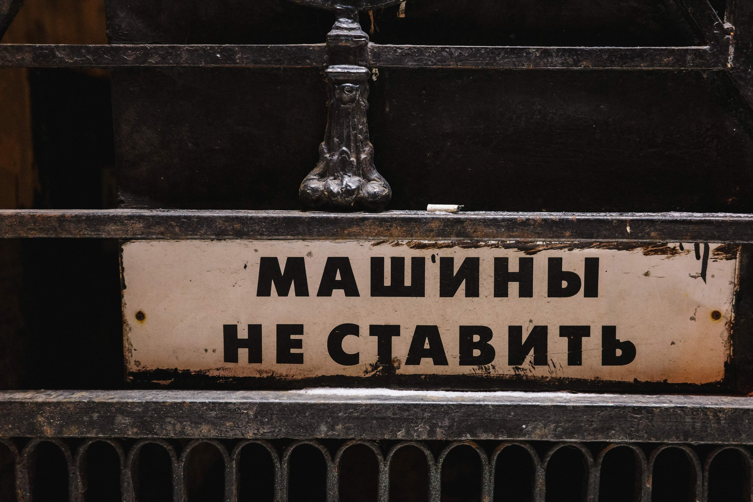 2024.12. Фотограф Алексей Алексеев