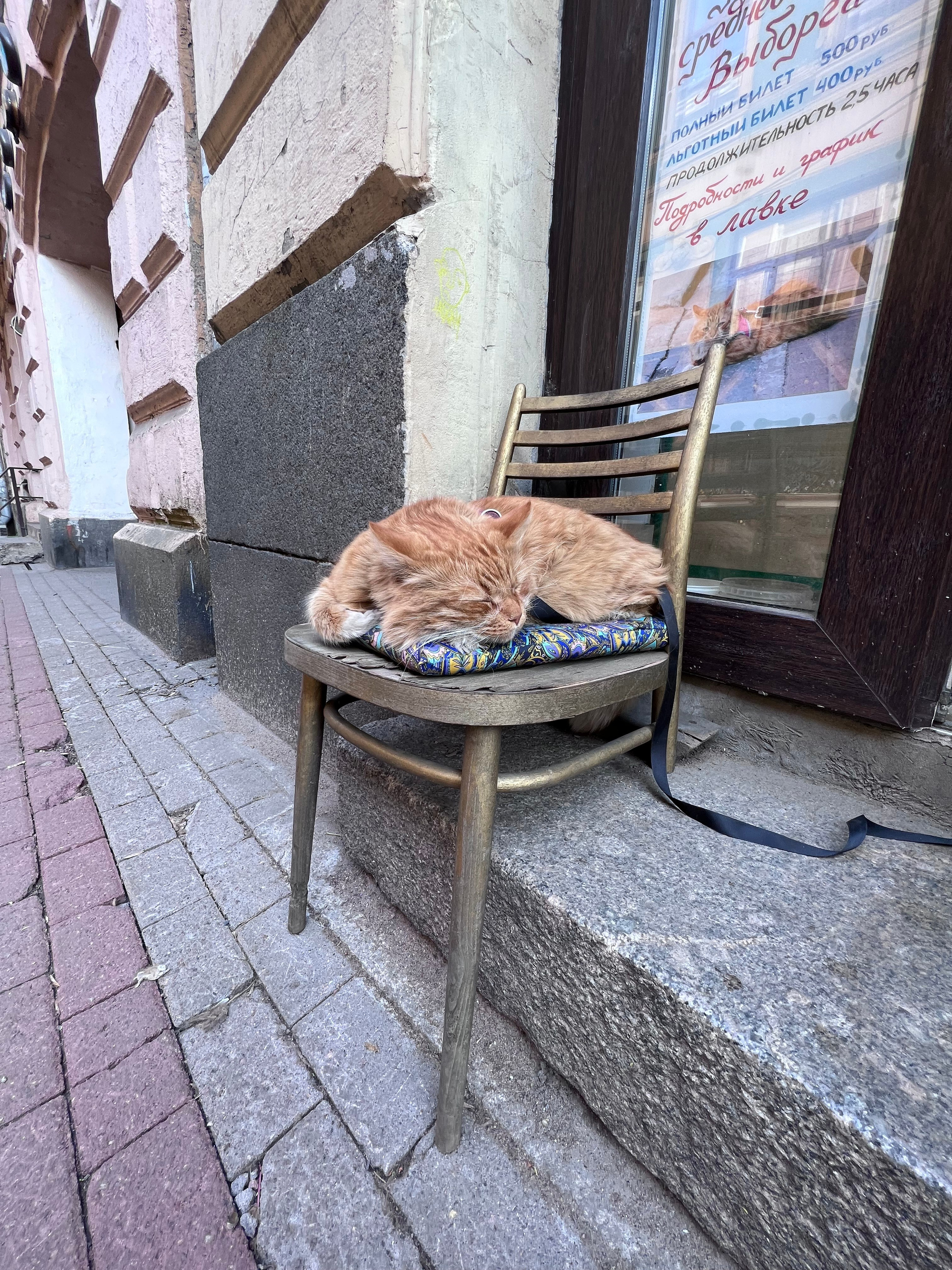 Питер и Выборг. Путешествия со смыслом