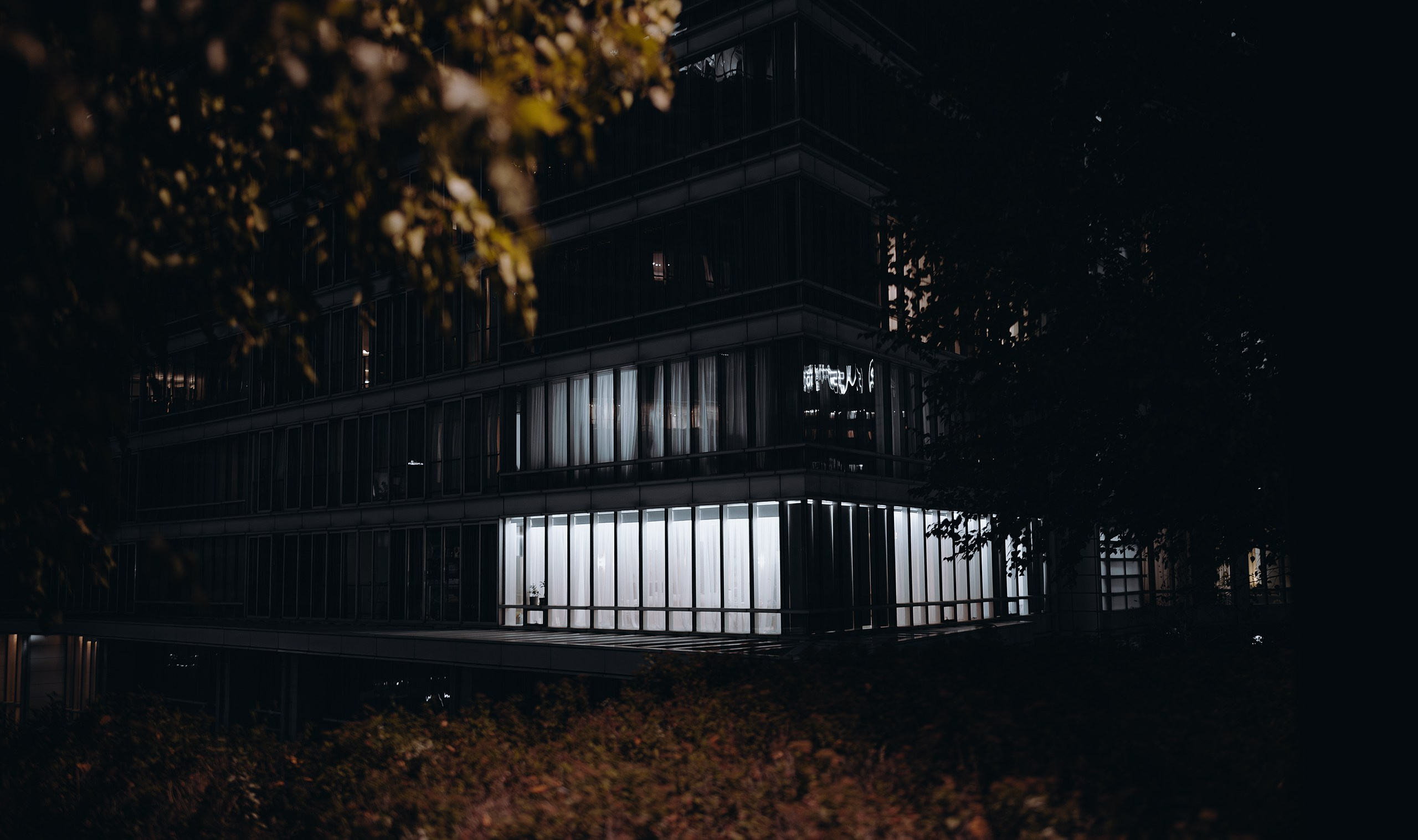 2024 — Night Street. Photographer in Almaty — Alexey Konkov | Reportage, Weddings, Portraits, Love Story