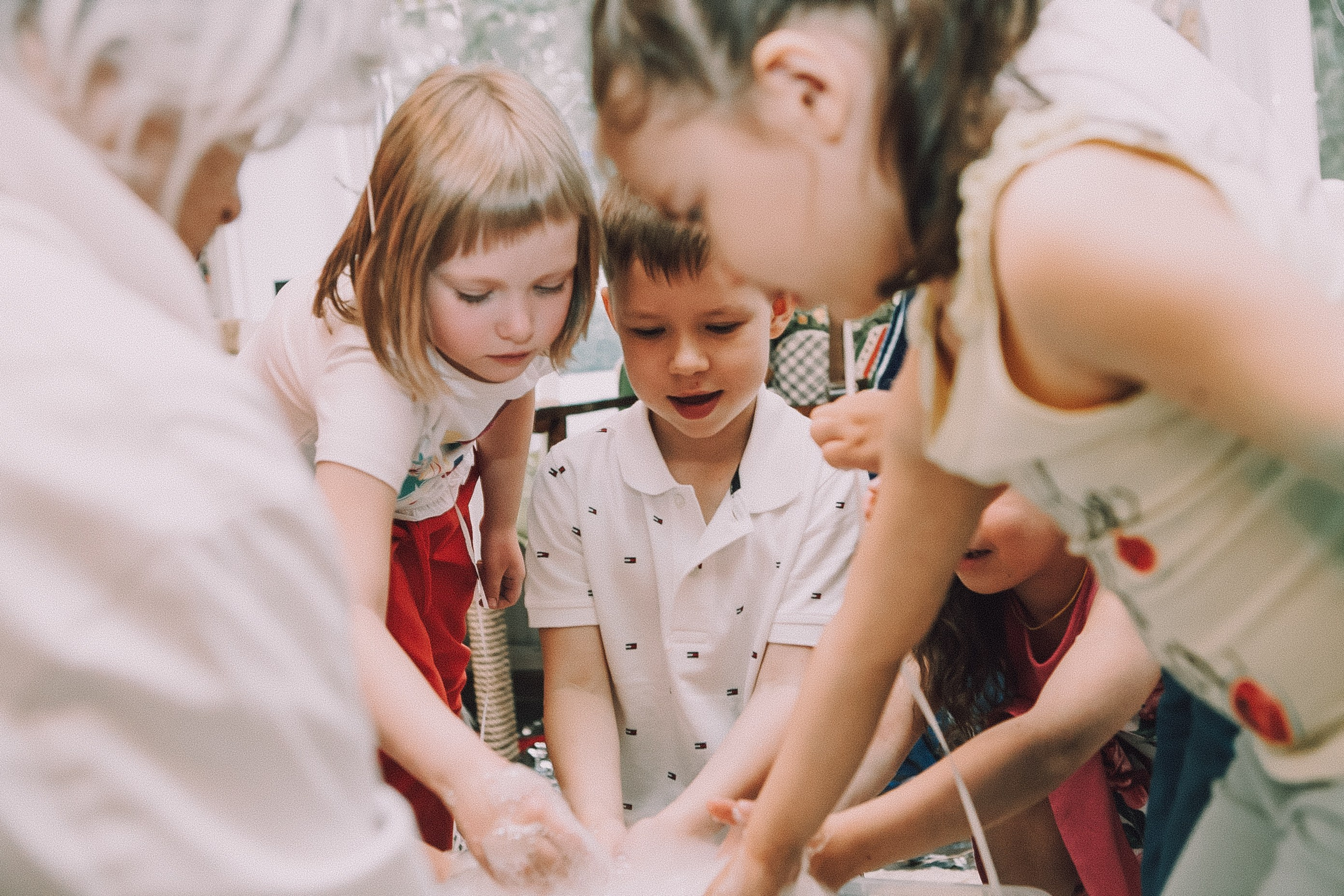 Репортажи. Allirubrum