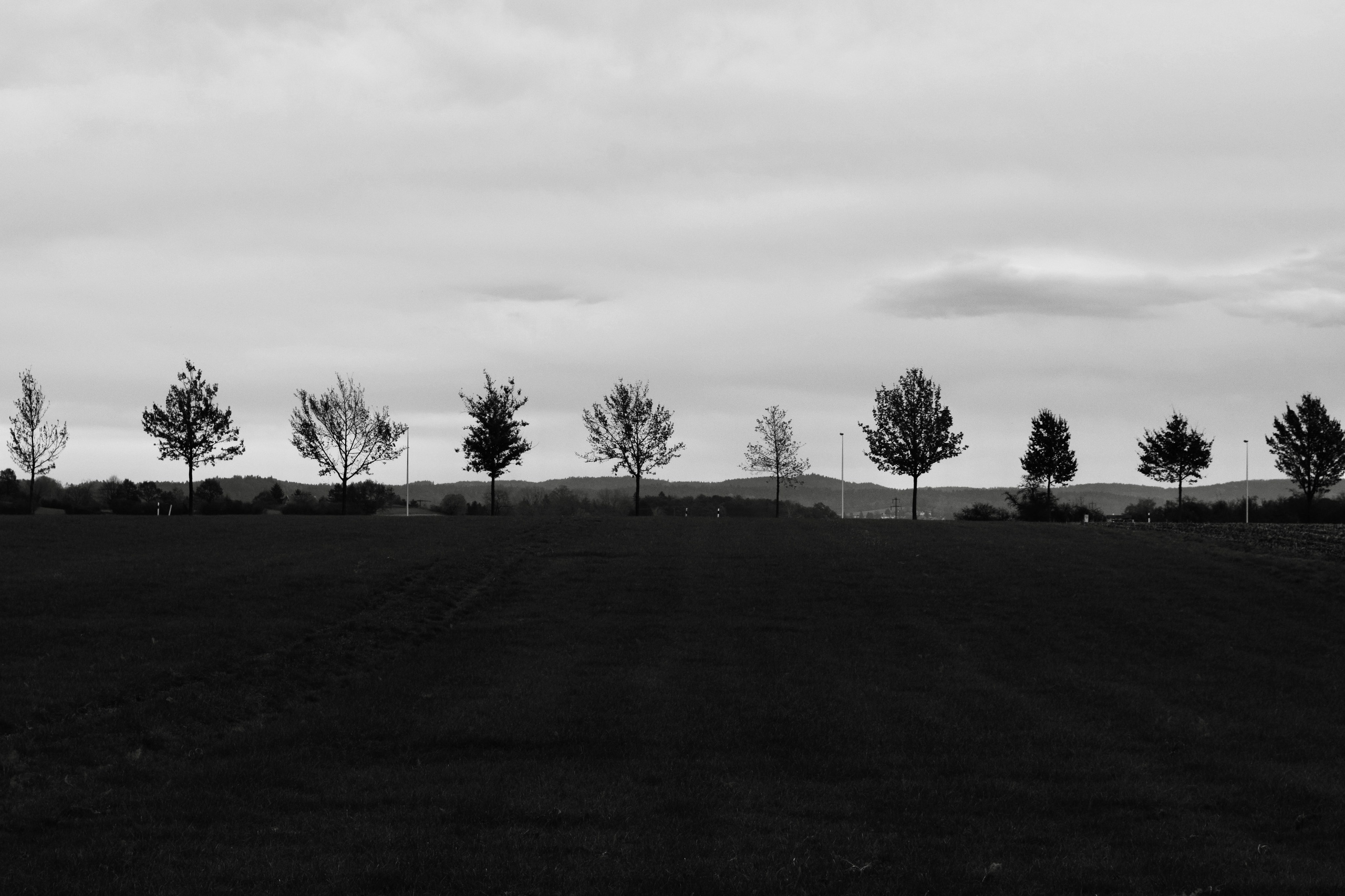 Портфолио. Фотограф в Москве