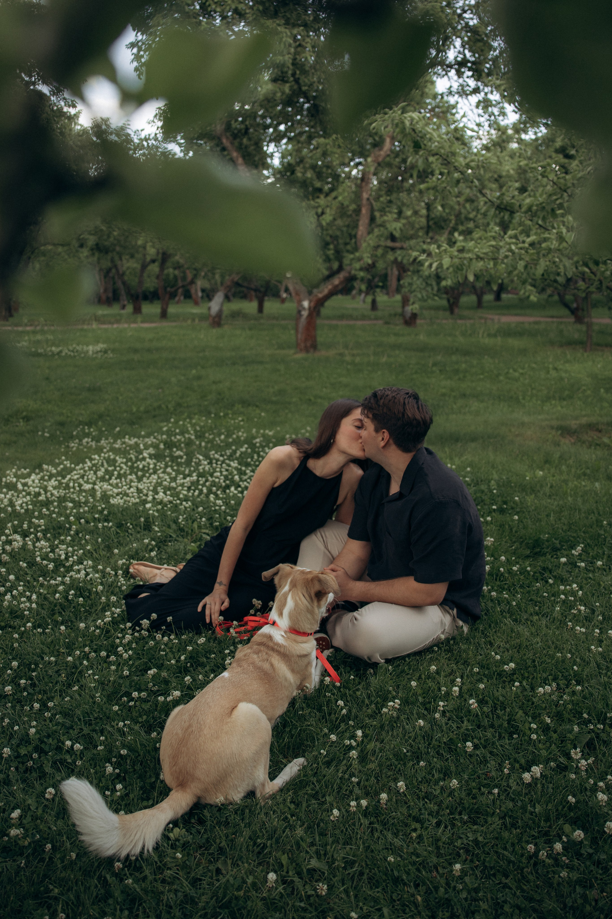 Парк Коломенское. Михаил, Анастасия и Ума. Фотограф анималист в Казани Алина Сулейманова. Фотограф животных