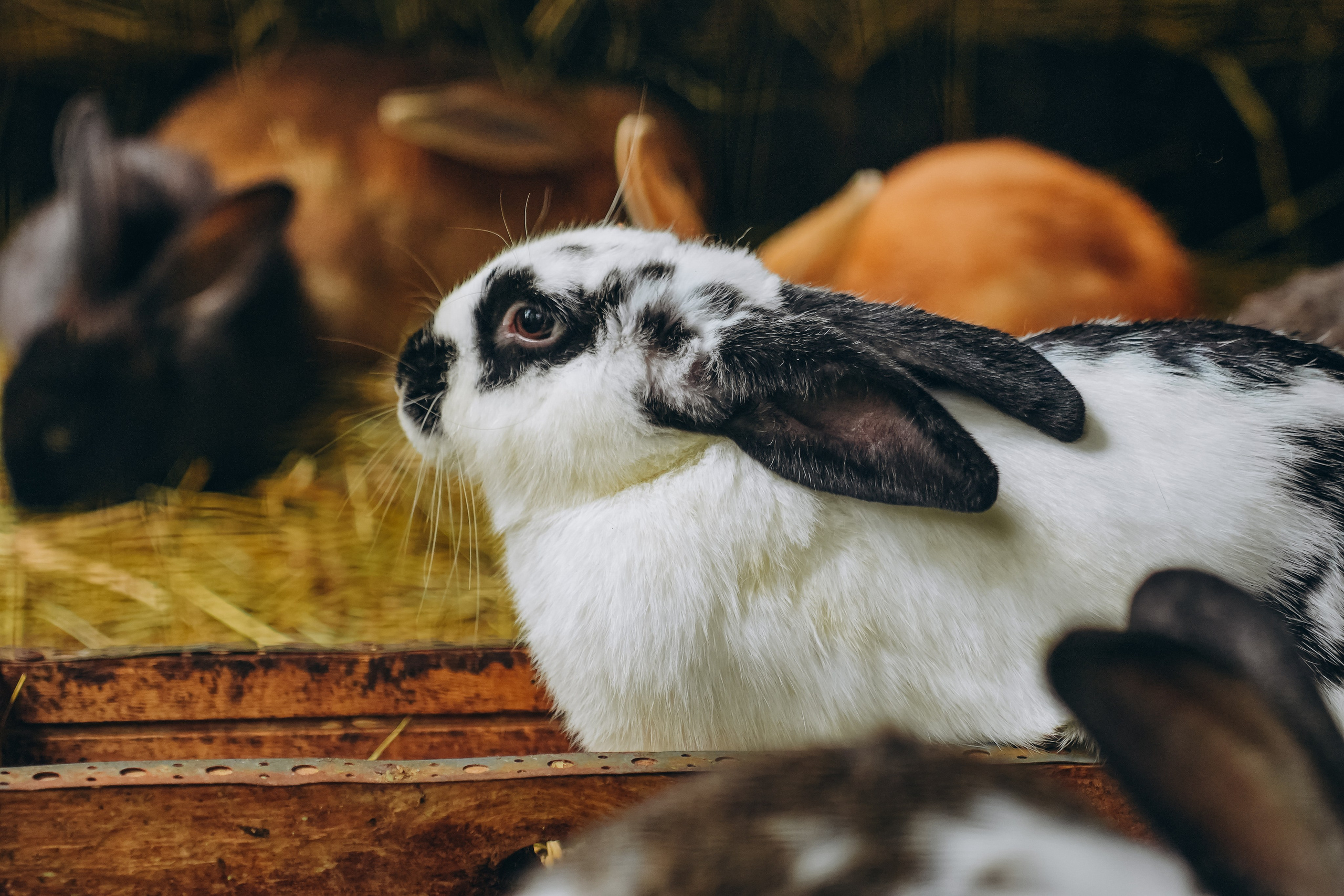 СЕВЕР. Event фотограф Степанова Александра