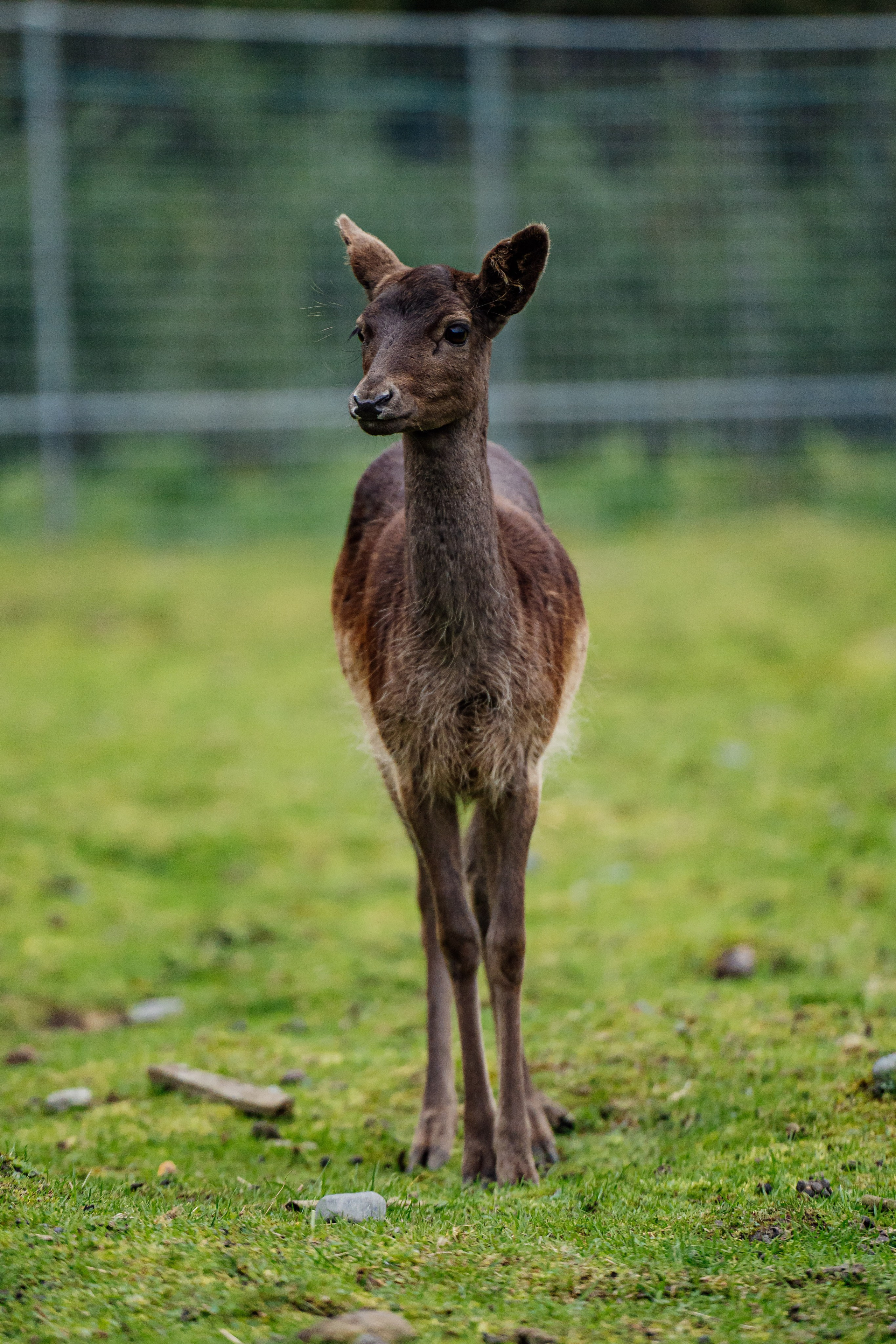 СЕВЕР. Event фотограф Степанова Александра