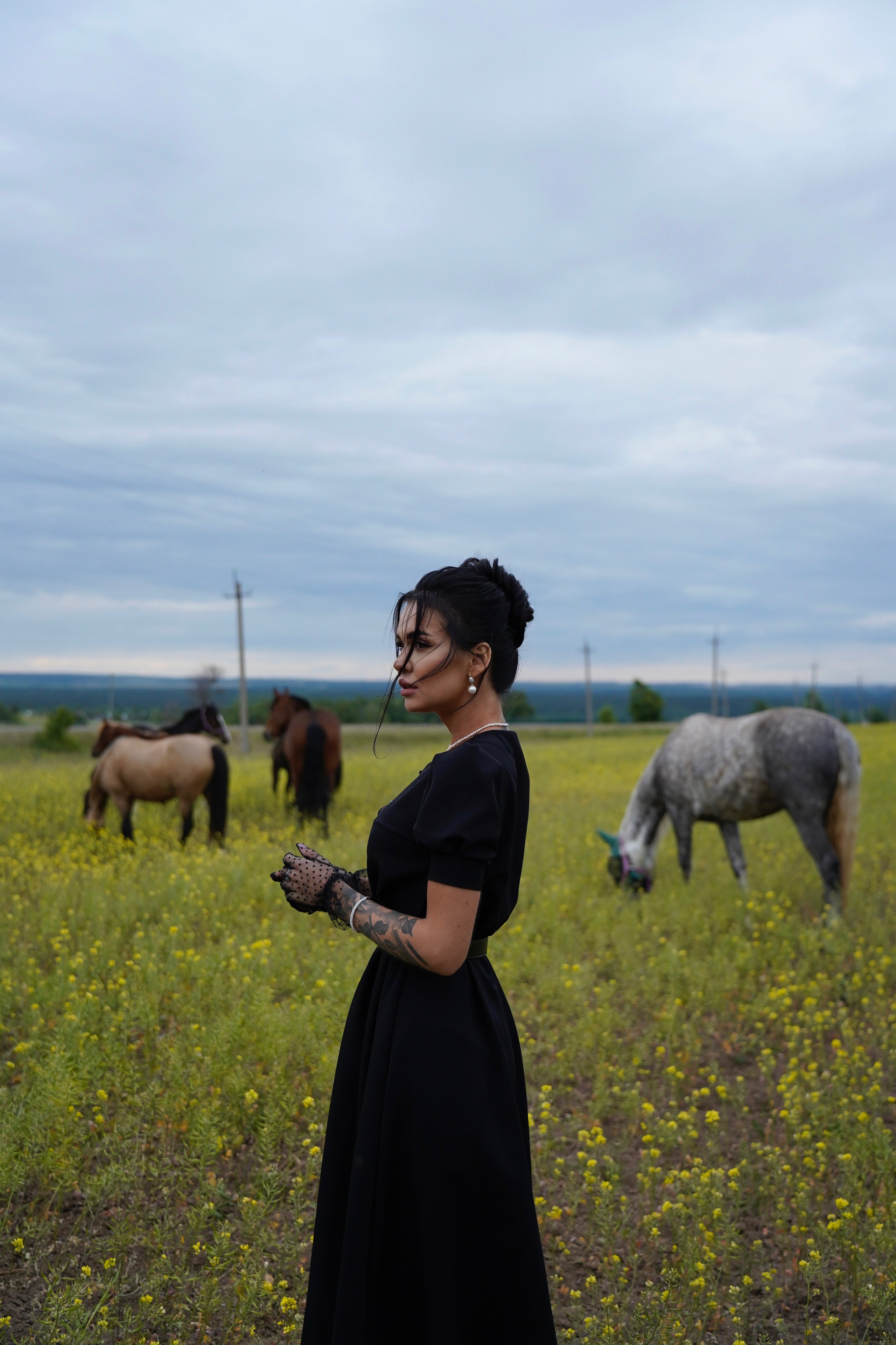 С лошадьми. Главная