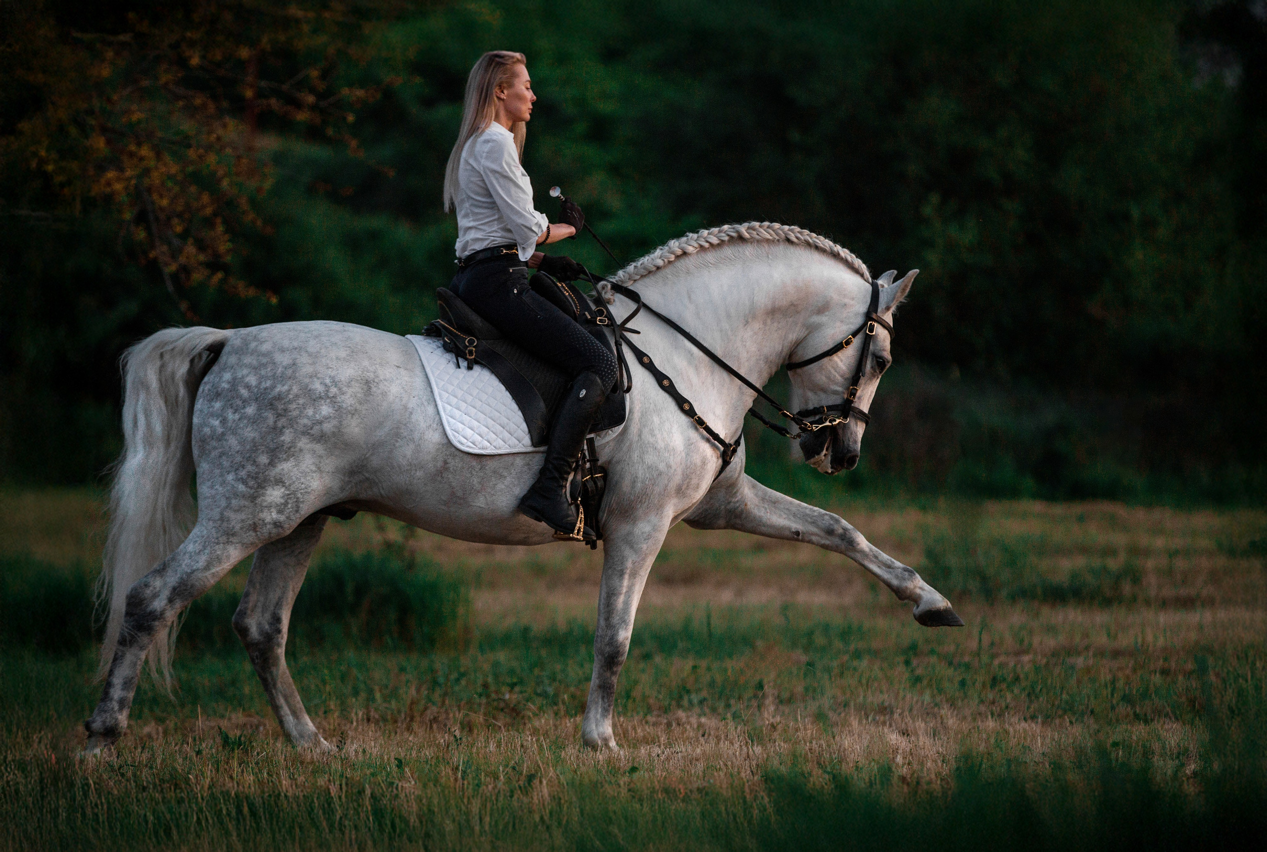 Натали и Цезарь. Фотограф-анималист Ксендзова Кристина
