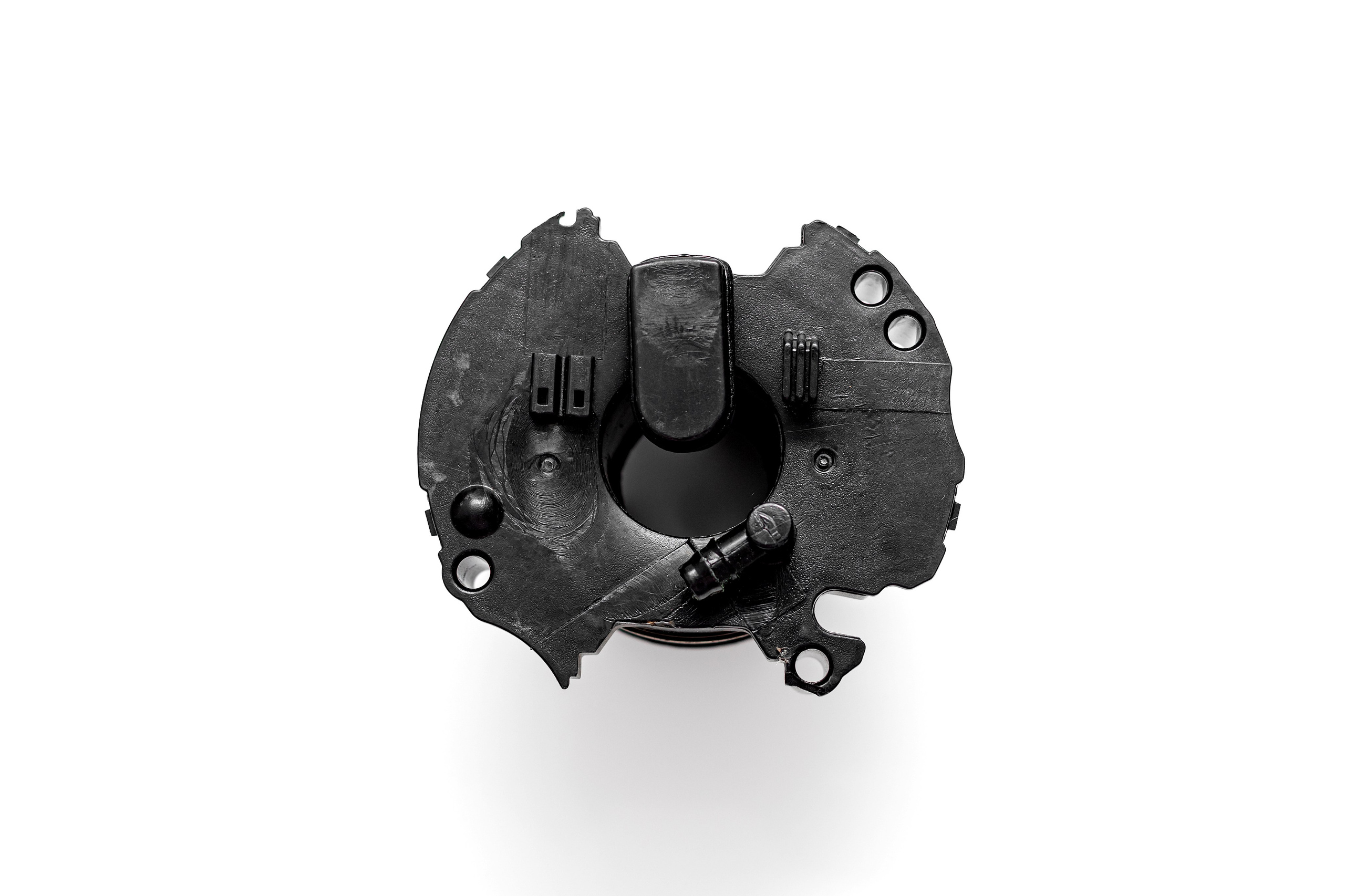 ФОТО. Фотограф Алина Гашникова