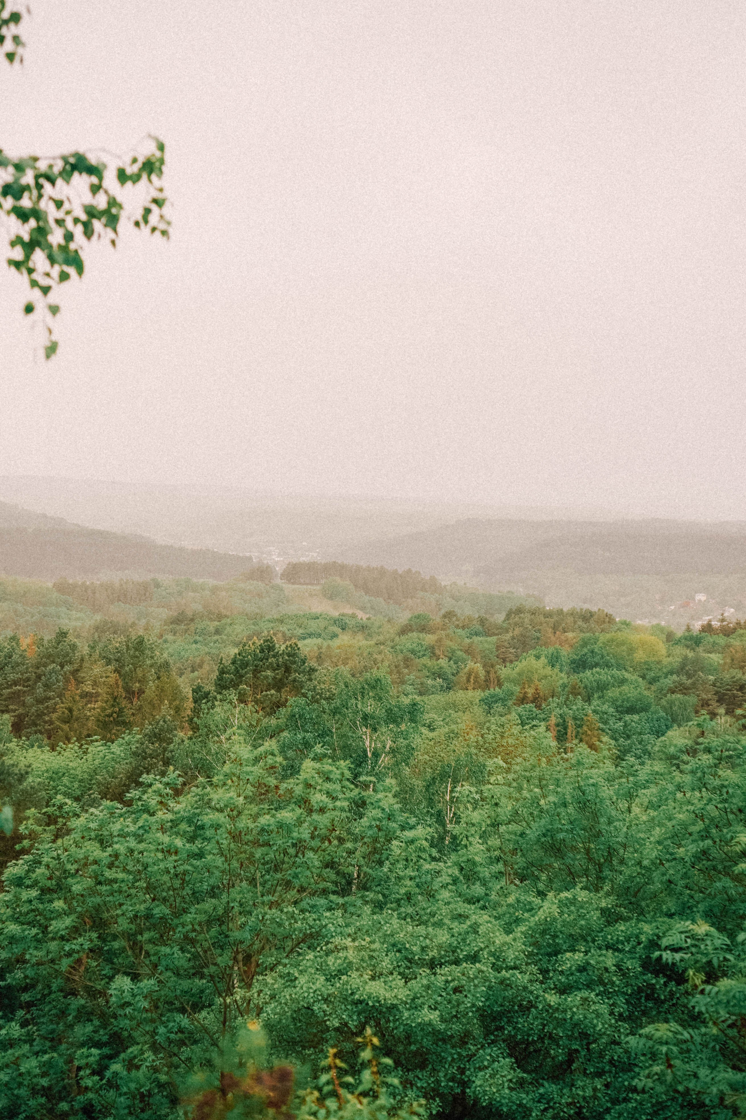 КИСЛОВОДСК. Профессиональный фотограф, Санкт-Петербург — Виктория Богомолова