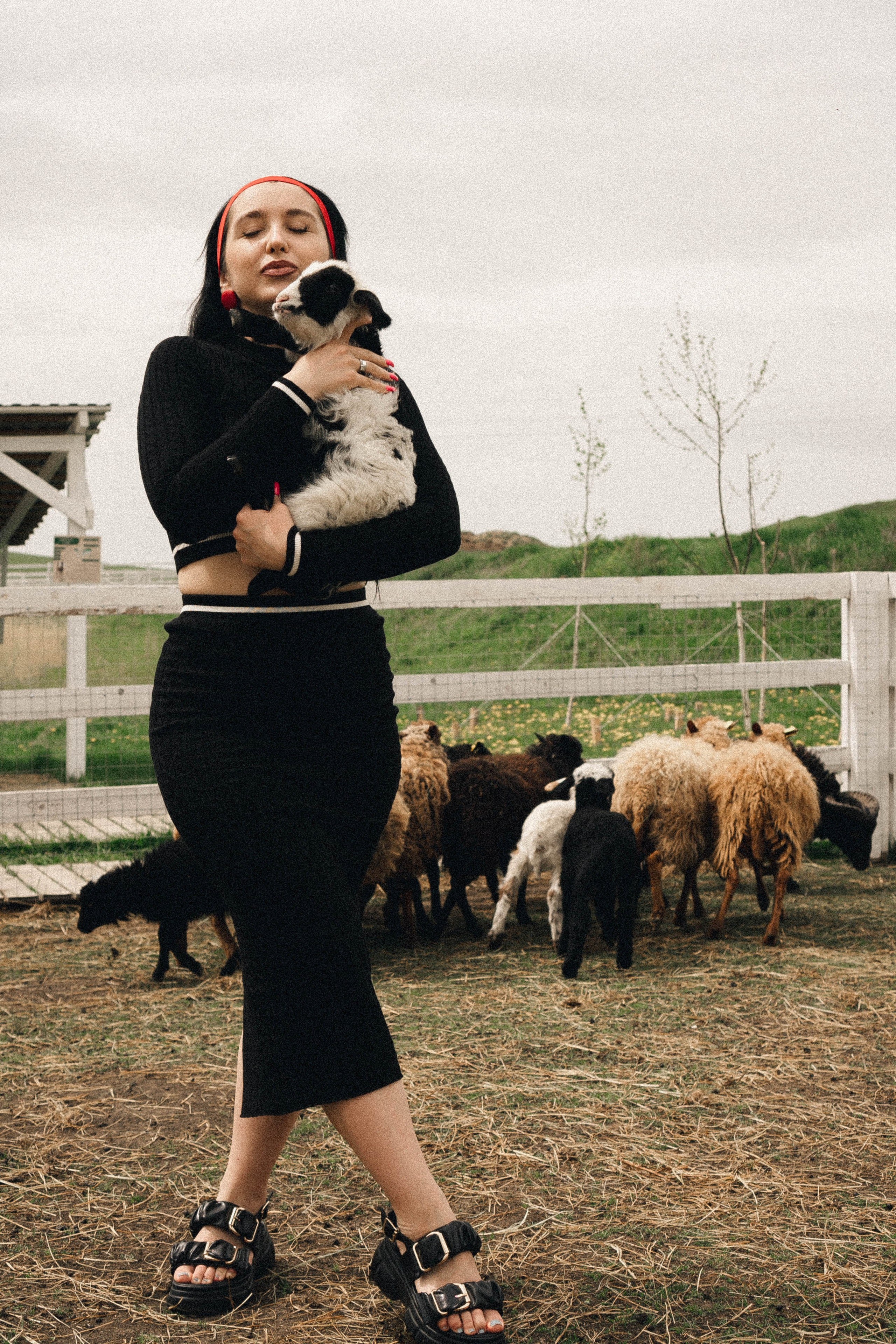 Ферма Альпак. Профессиональный фотограф, Санкт-Петербург — Виктория Богомолова