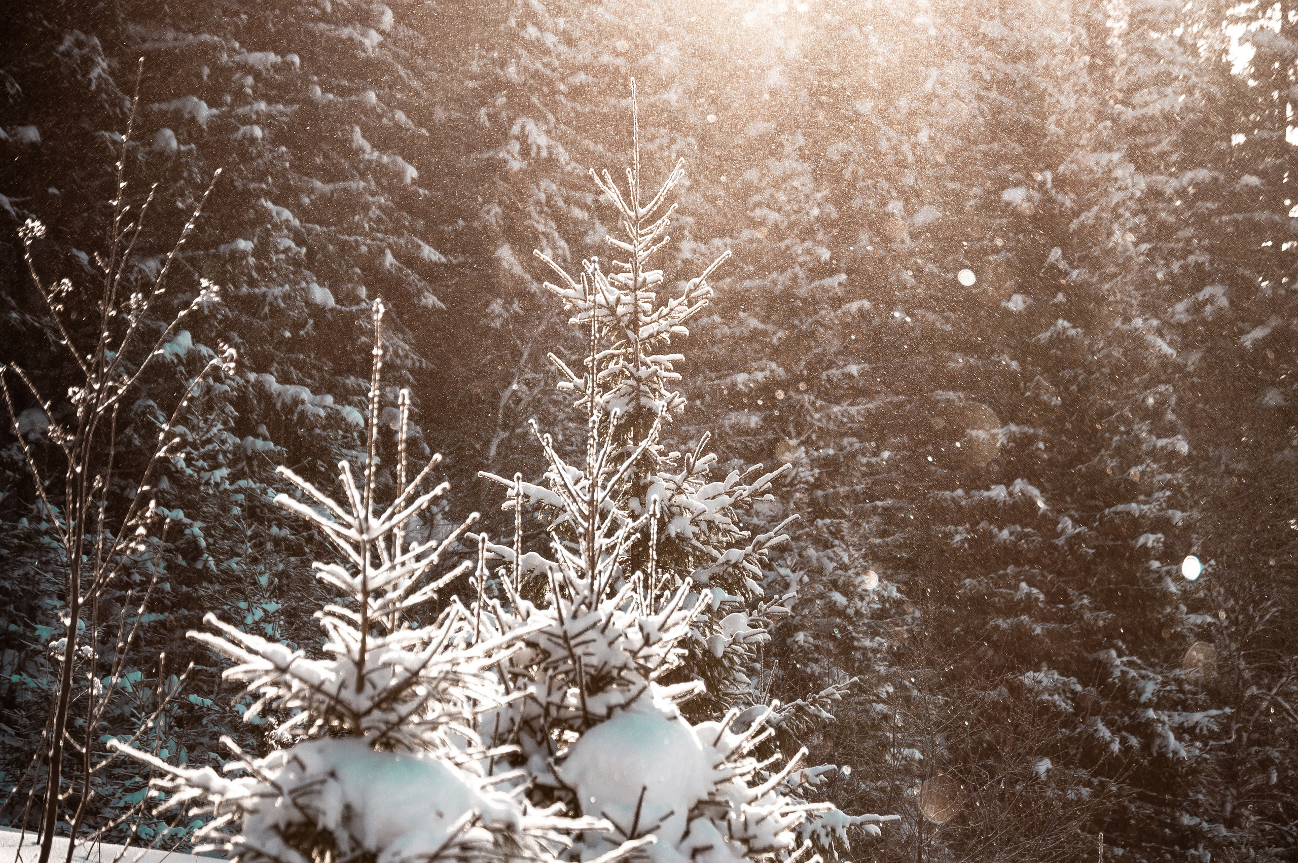 Эстетика еб{деревней}й. Место {не}банальных фото