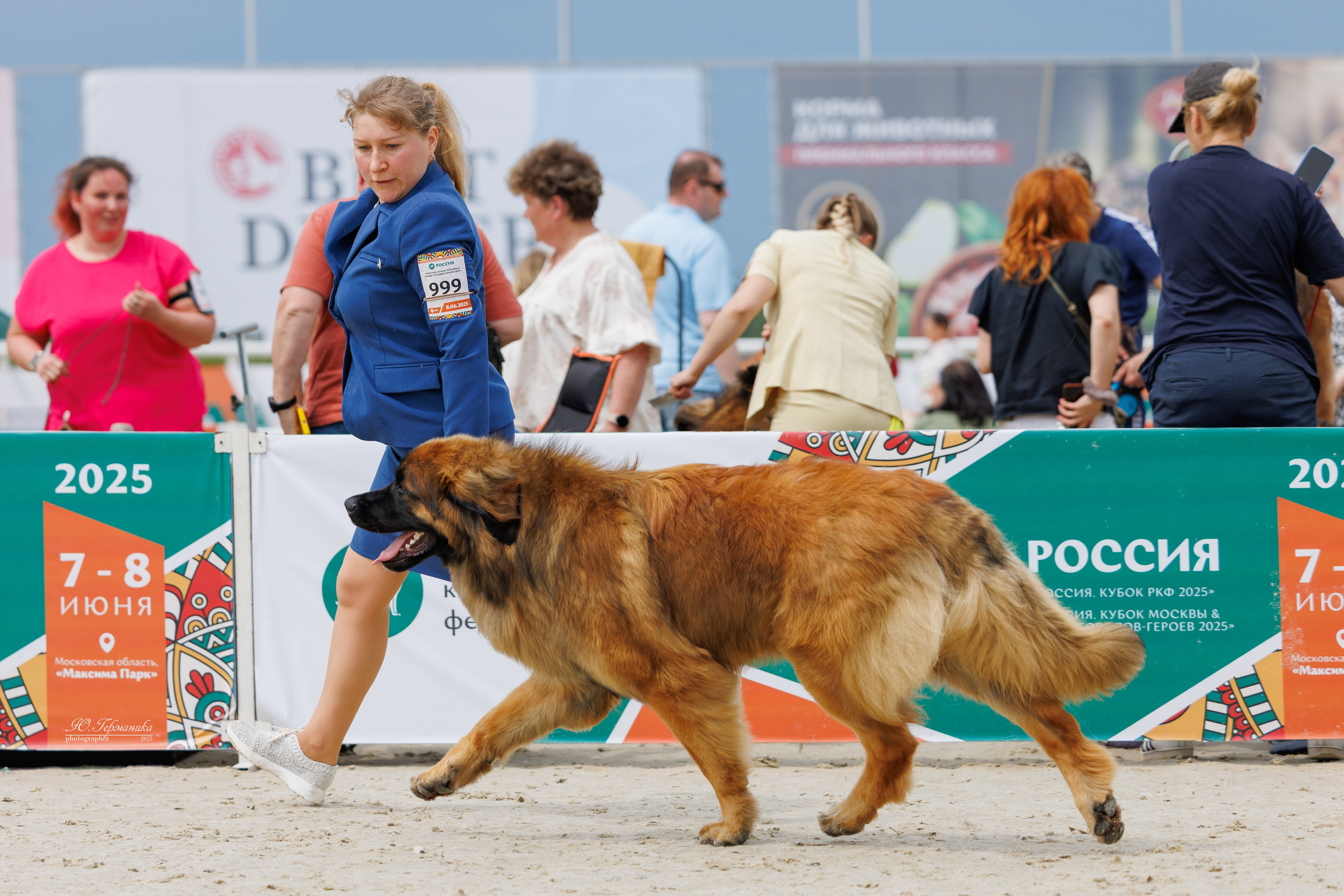 РОССИЯ 7-8.06.2025. Фотограф-анималист Юлия Германика