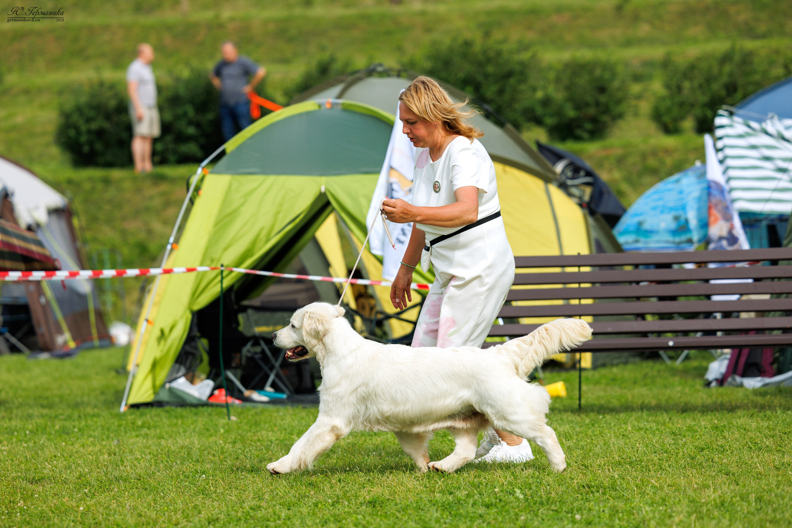 Голдены 15-16.06.2024. Фотограф-анималист Юлия Германика