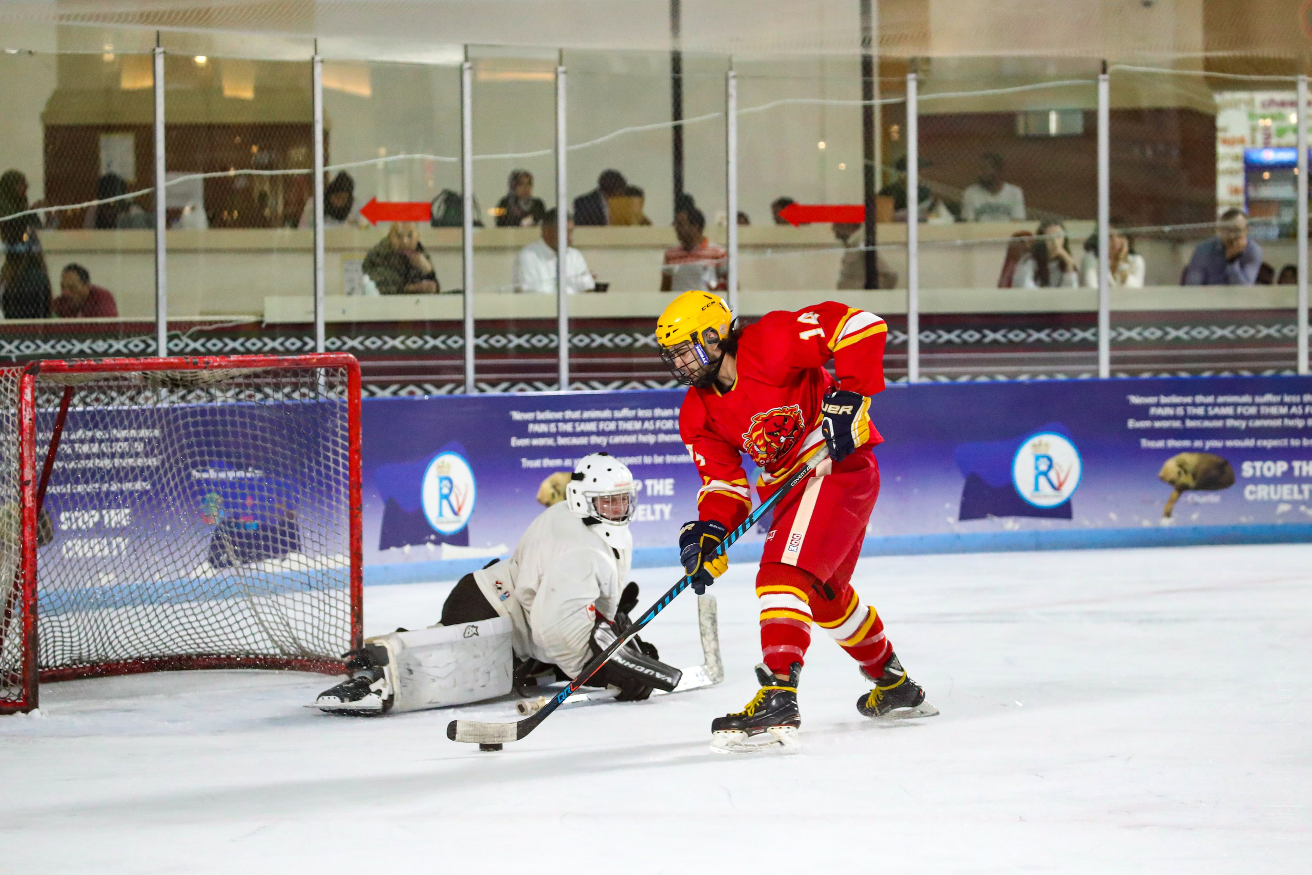 Хоккей. Фотограф в Москве портреты | репортажи | спорт