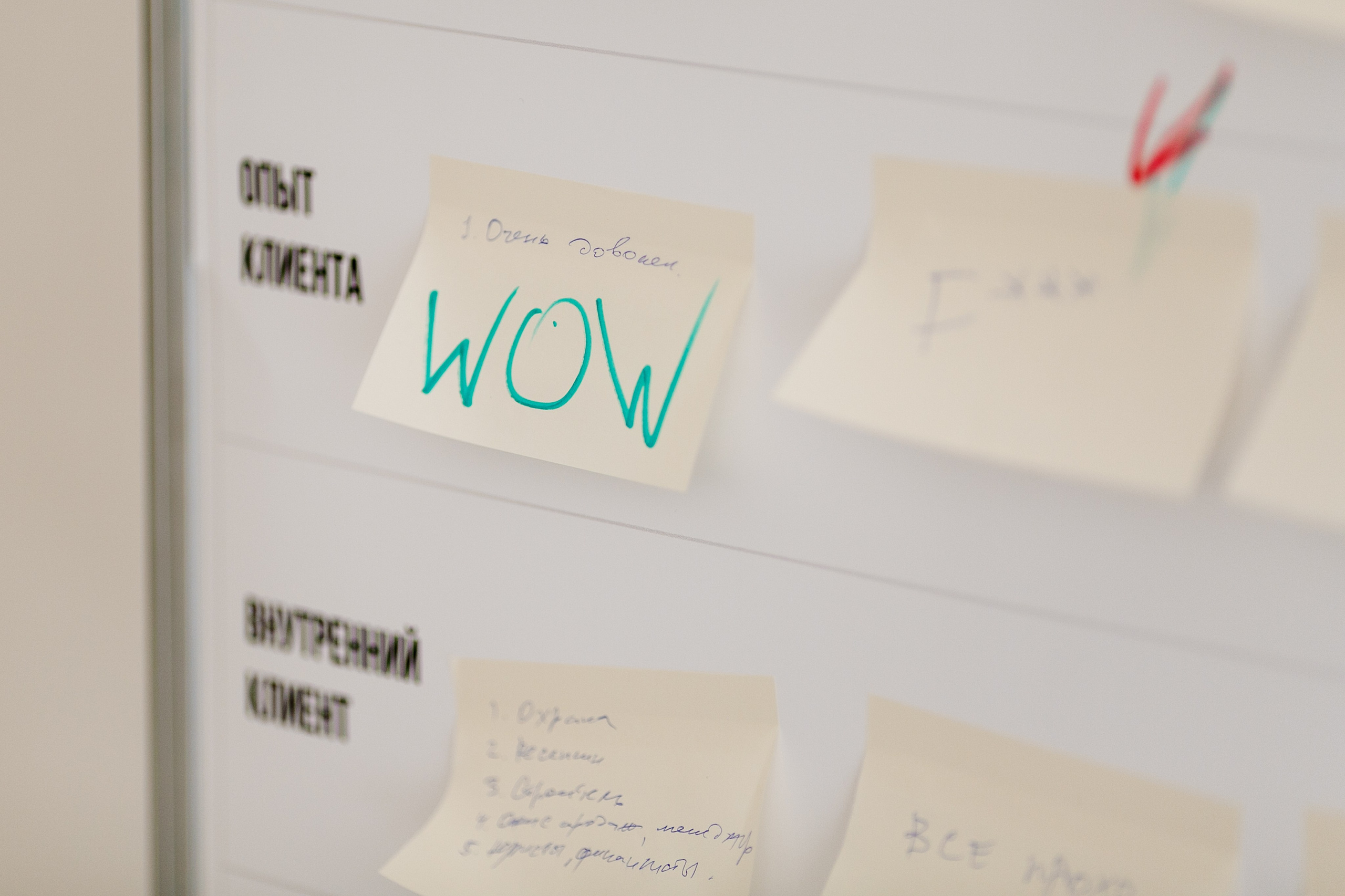 Выездной коучинг на берегу Строгинской поймы. Репортажный фотограф Борис Геер