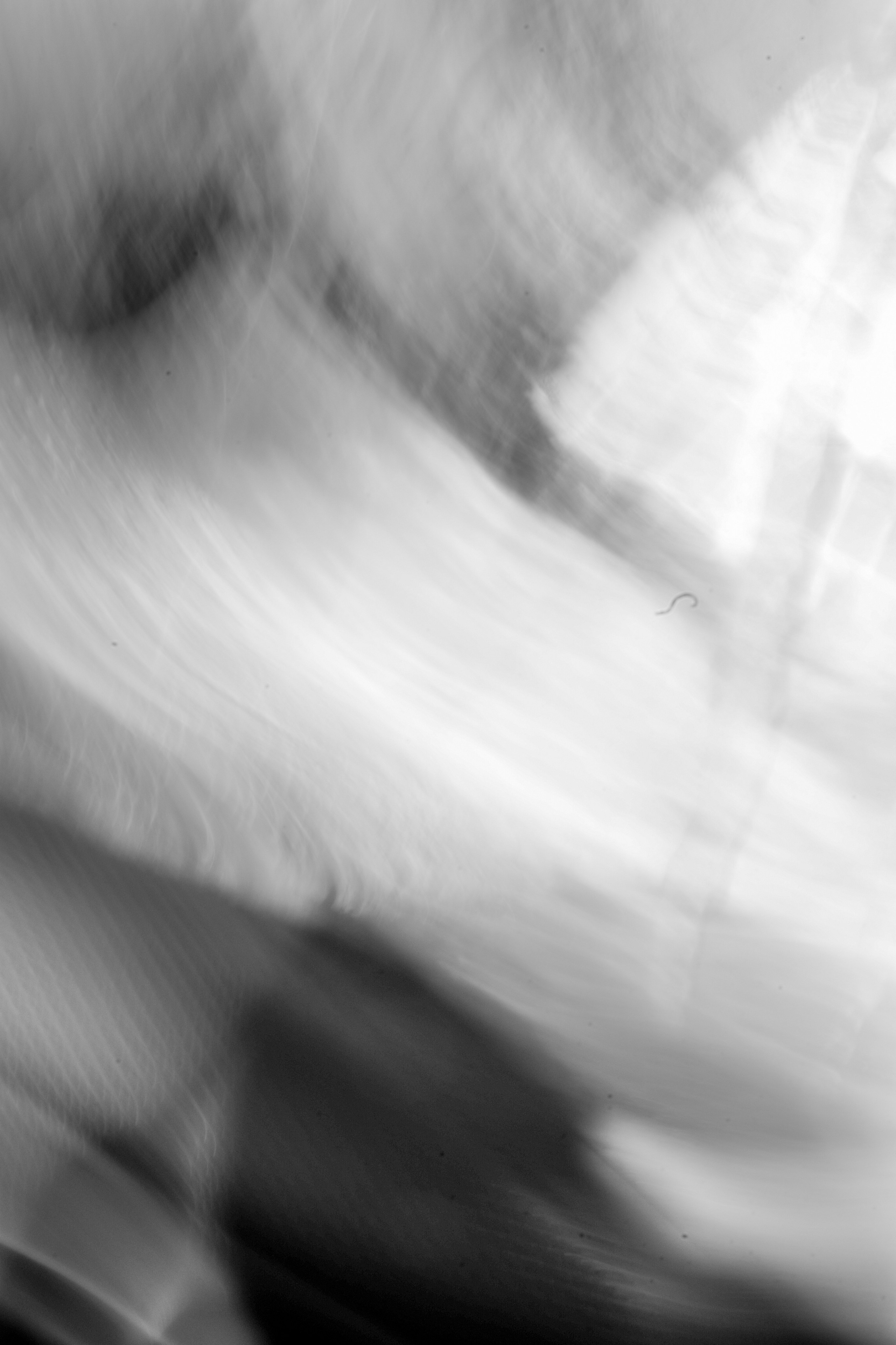 Abstraction. Арт — фотограф Евгений Наймушин Новокузнецк