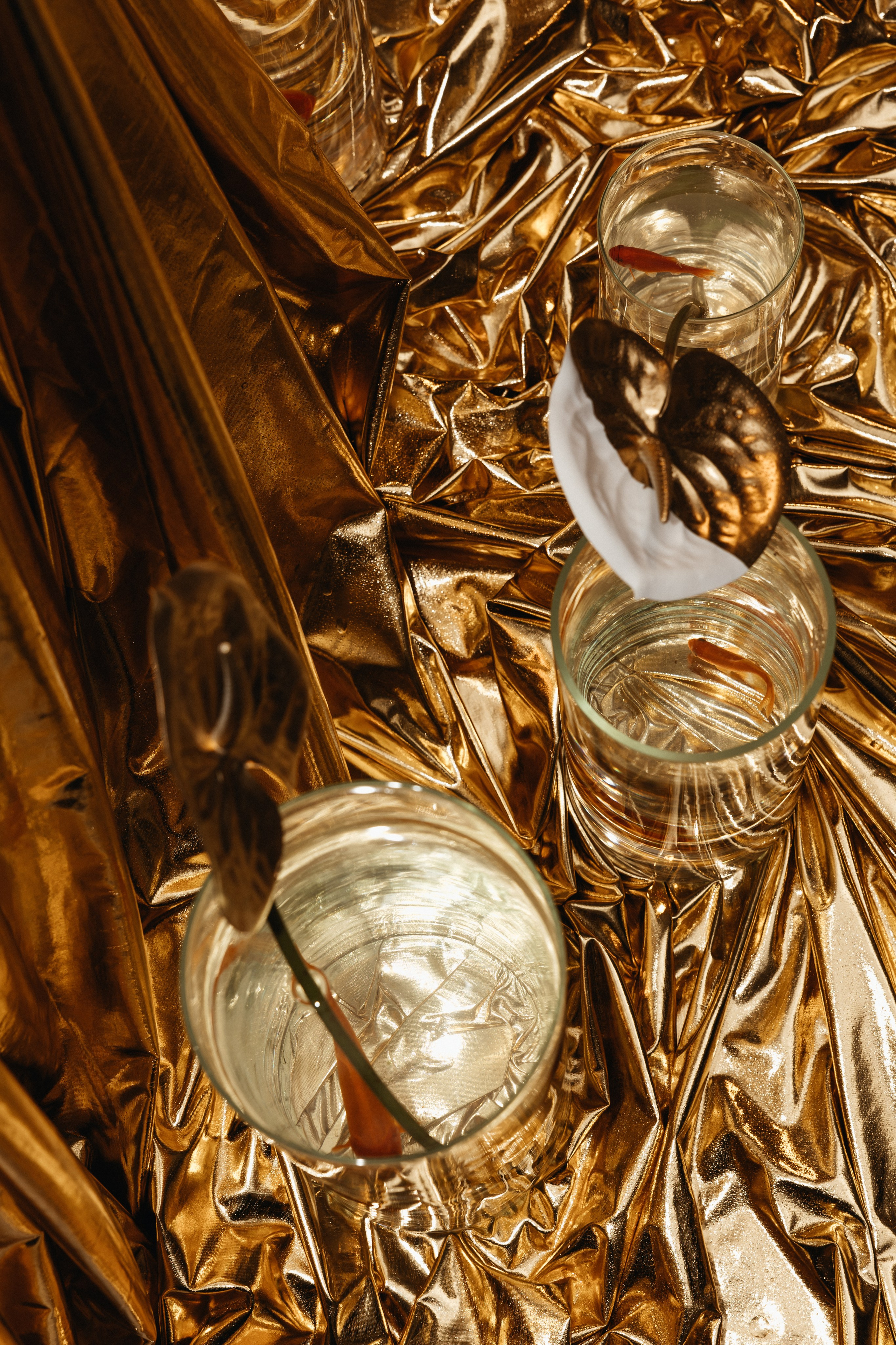 ДОРОЖЕ ЗОЛОТА. Свадебный и семейный фотограф и видеограф, Крым, Москва, Санкт -Петербург