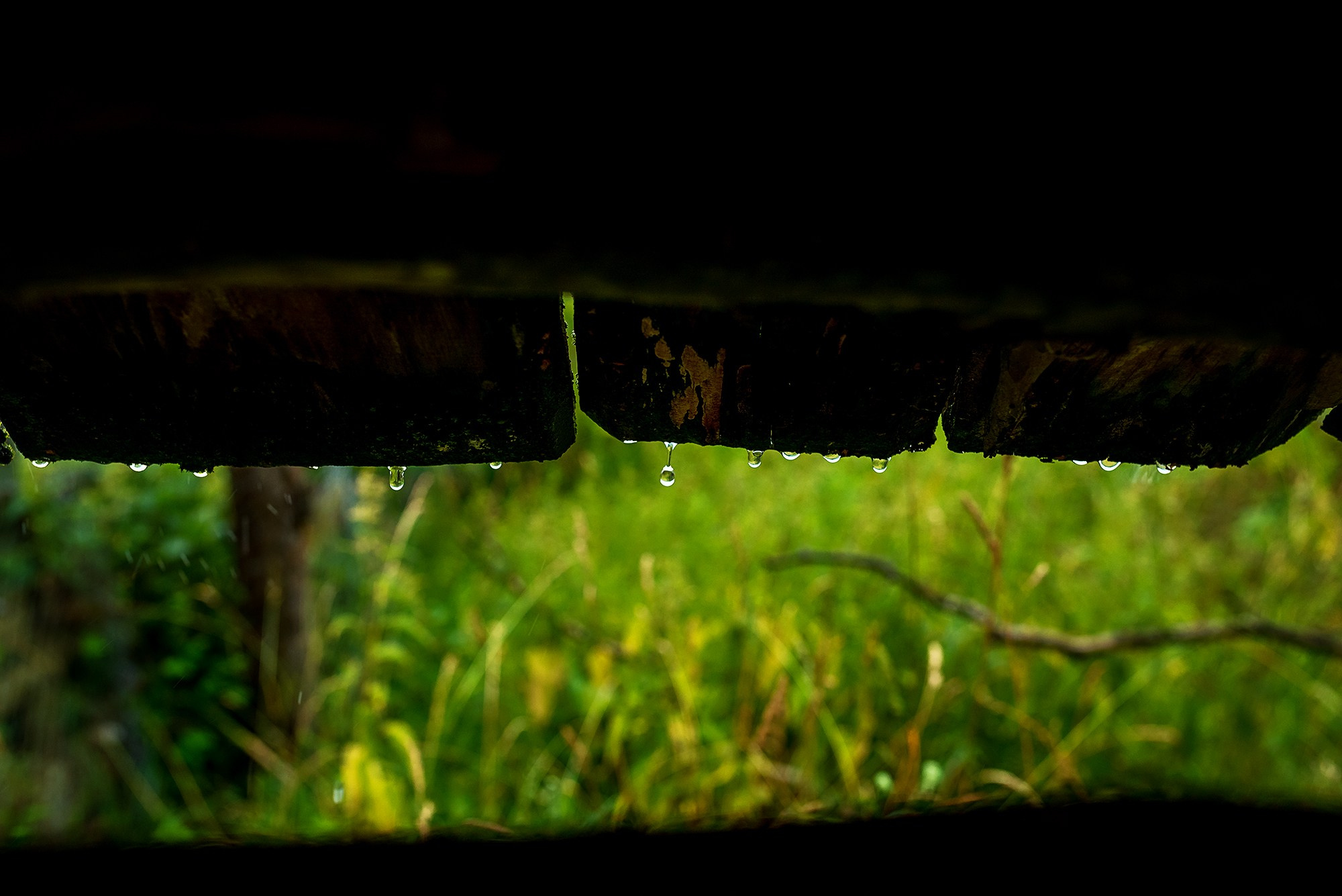 В гостях у матушки Анны. Женский фотограф Крещение Венчание Москва Брянск