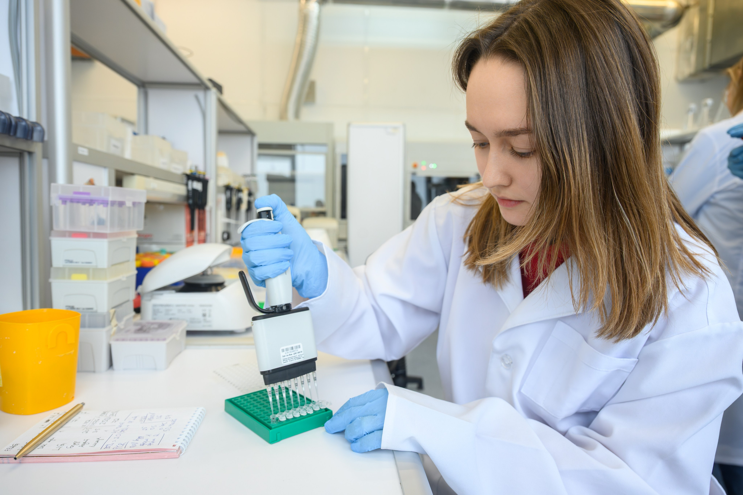 Лаборатории. Арефьева Наталья фотограф в Москве. Студийный фотограф, деловой портрет, репортаж