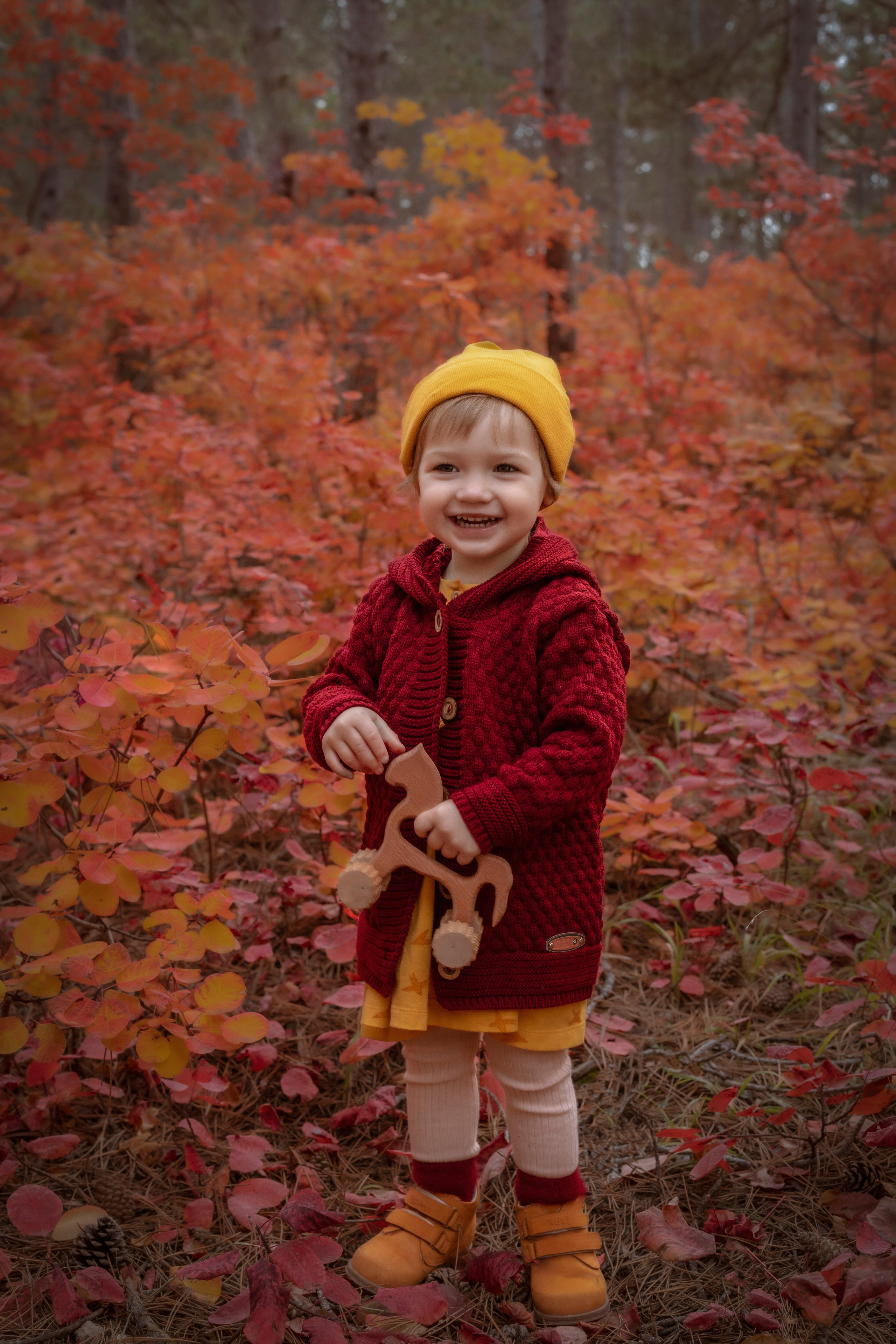 ОСЕННИЙ ЛЕС. Семейный и детский фотограф в Крыму Екатерина Швец