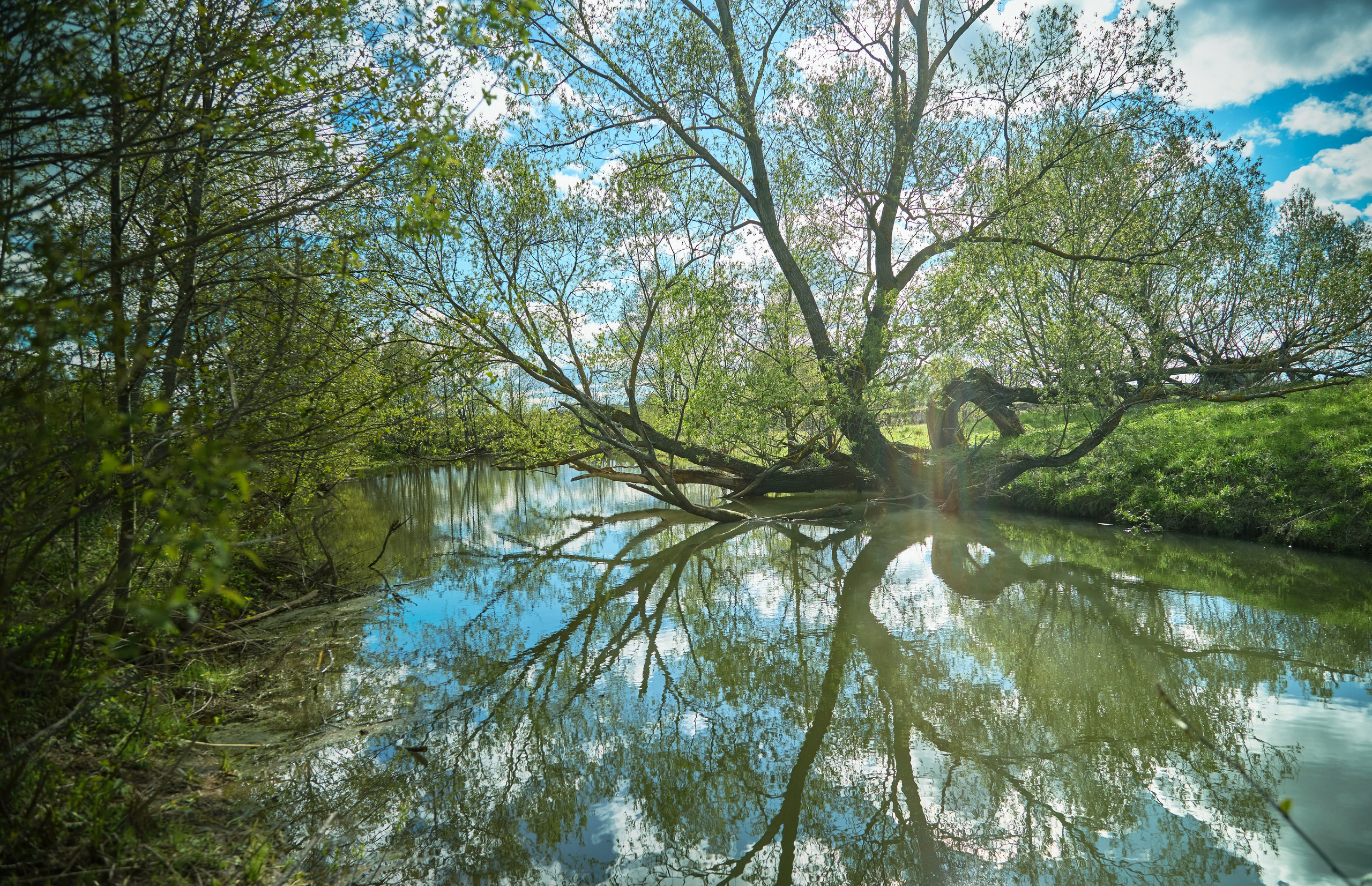 Пейзажная фотосъемка. Владимир Суздалов (ProMaXe) — Портретный фотограф, тематические фотосессии в Чебоксарах