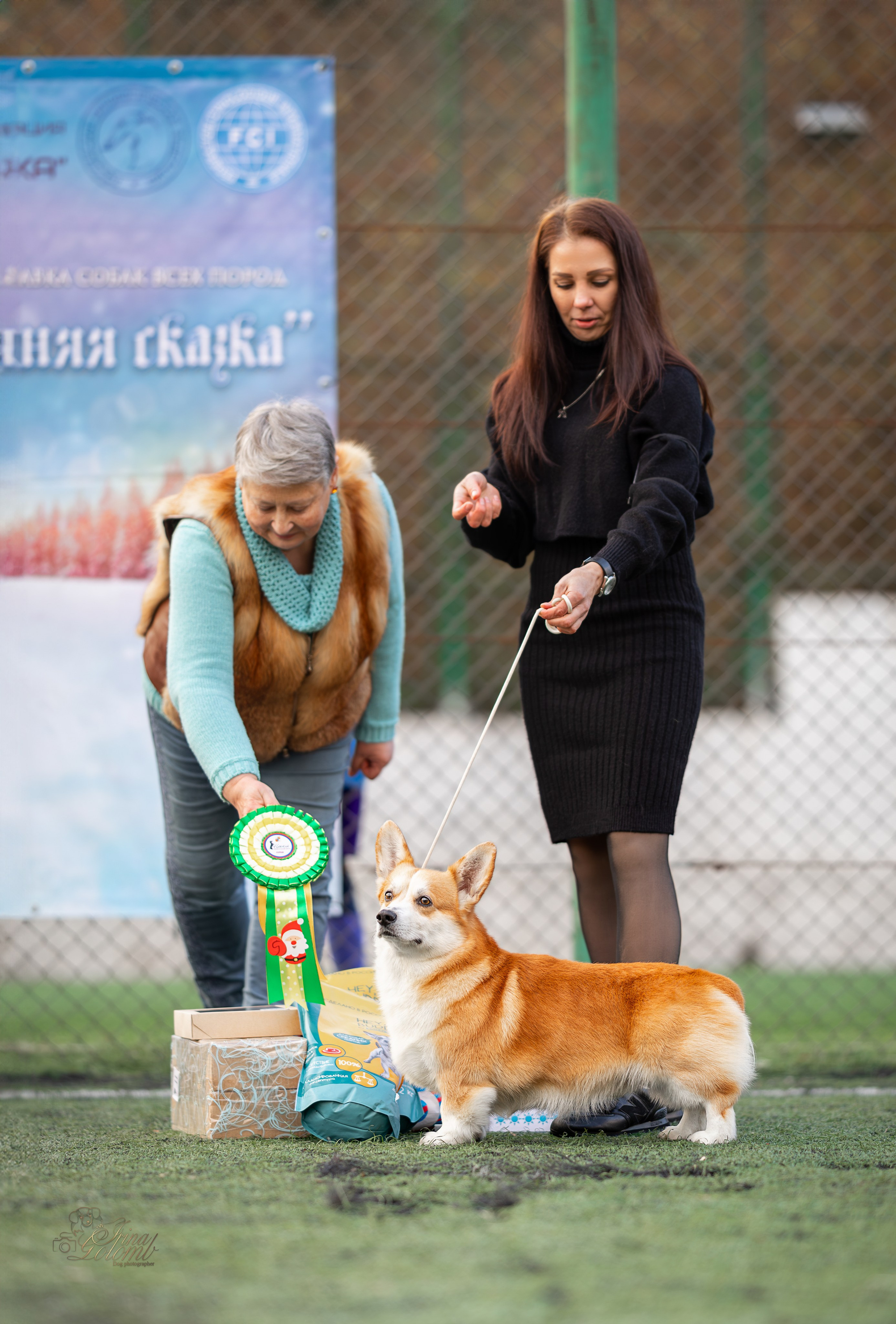 Выставка 17.12.23. Ирина Голомб|Фотограф-анималист в  Сочи и Калининграде