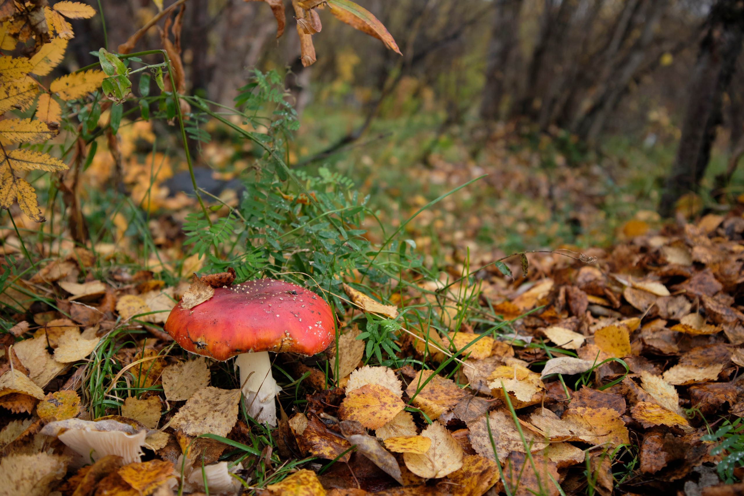 Поездка в Мурманск. Заметки и фото. Елена Павленко. Фотограф. Москва