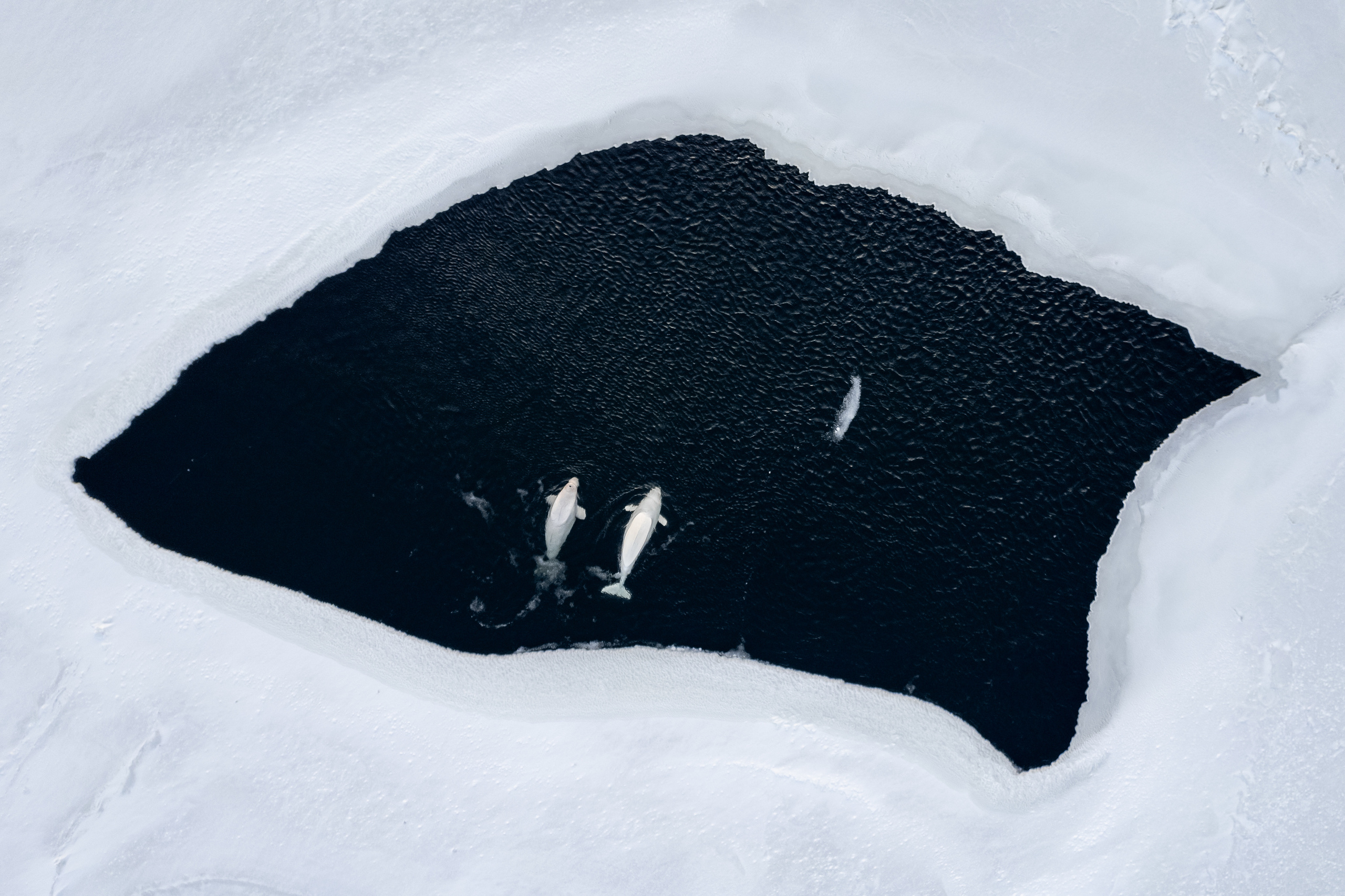 Владивосток. Wedding and family photographer in Vladivostok Anton Blokhin