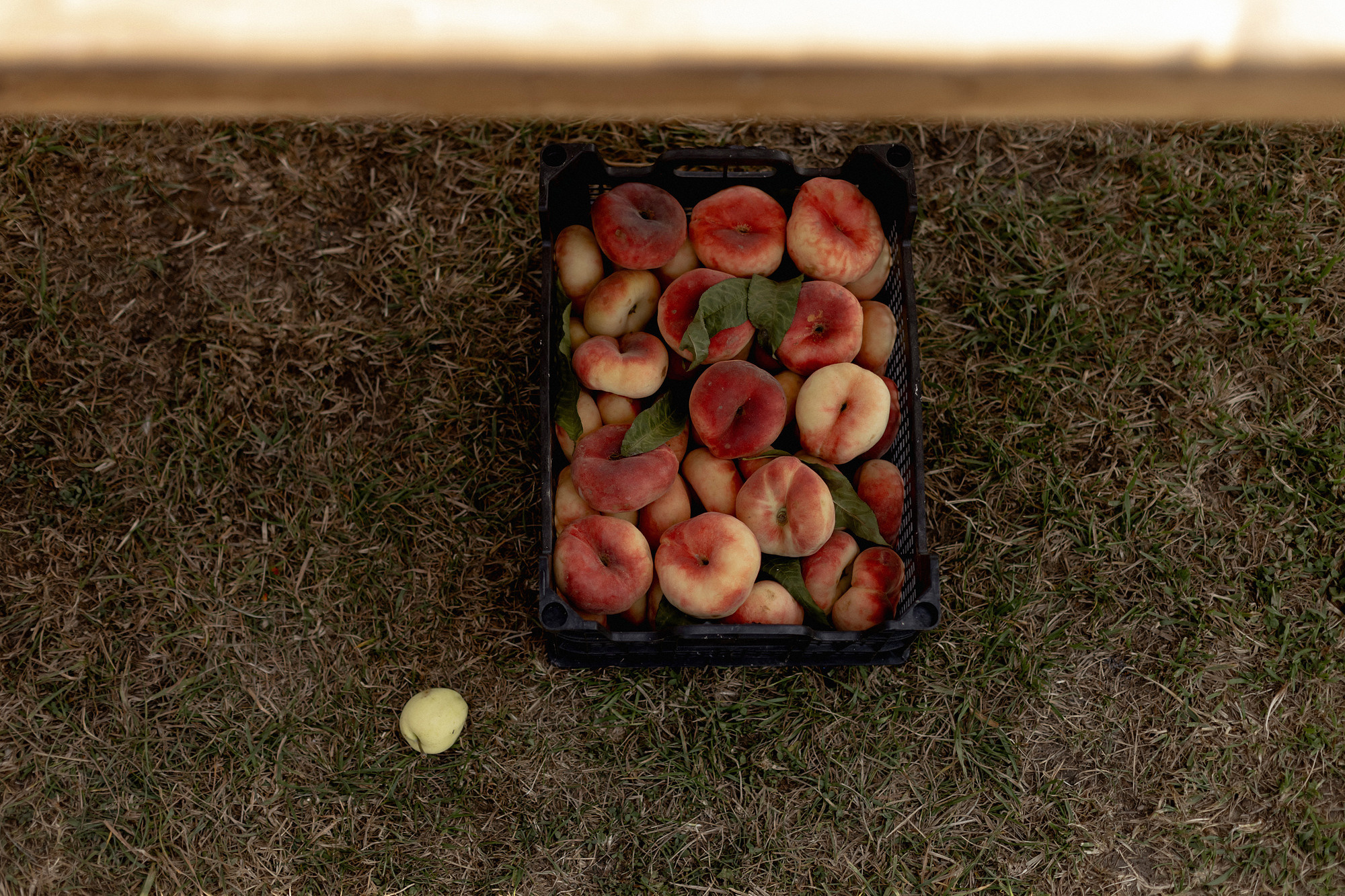 АЛЕКСЕЙ И ЕКАТЕРИНА | ЮЖНО-САХАЛИНСК. Wedding and family photographer in Vladivostok Anton Blokhin