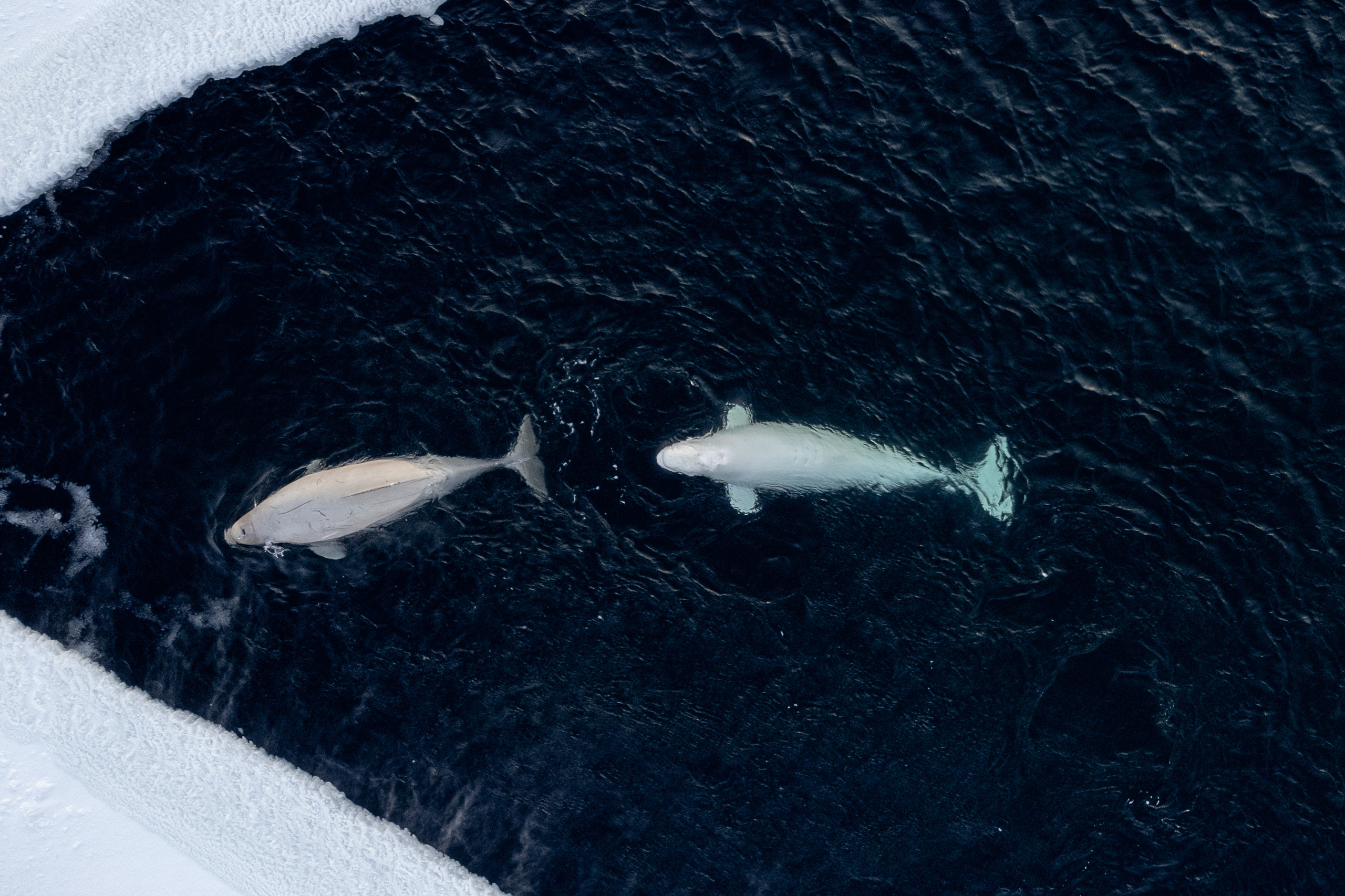 Владивосток. Wedding and family photographer in Vladivostok Anton Blokhin