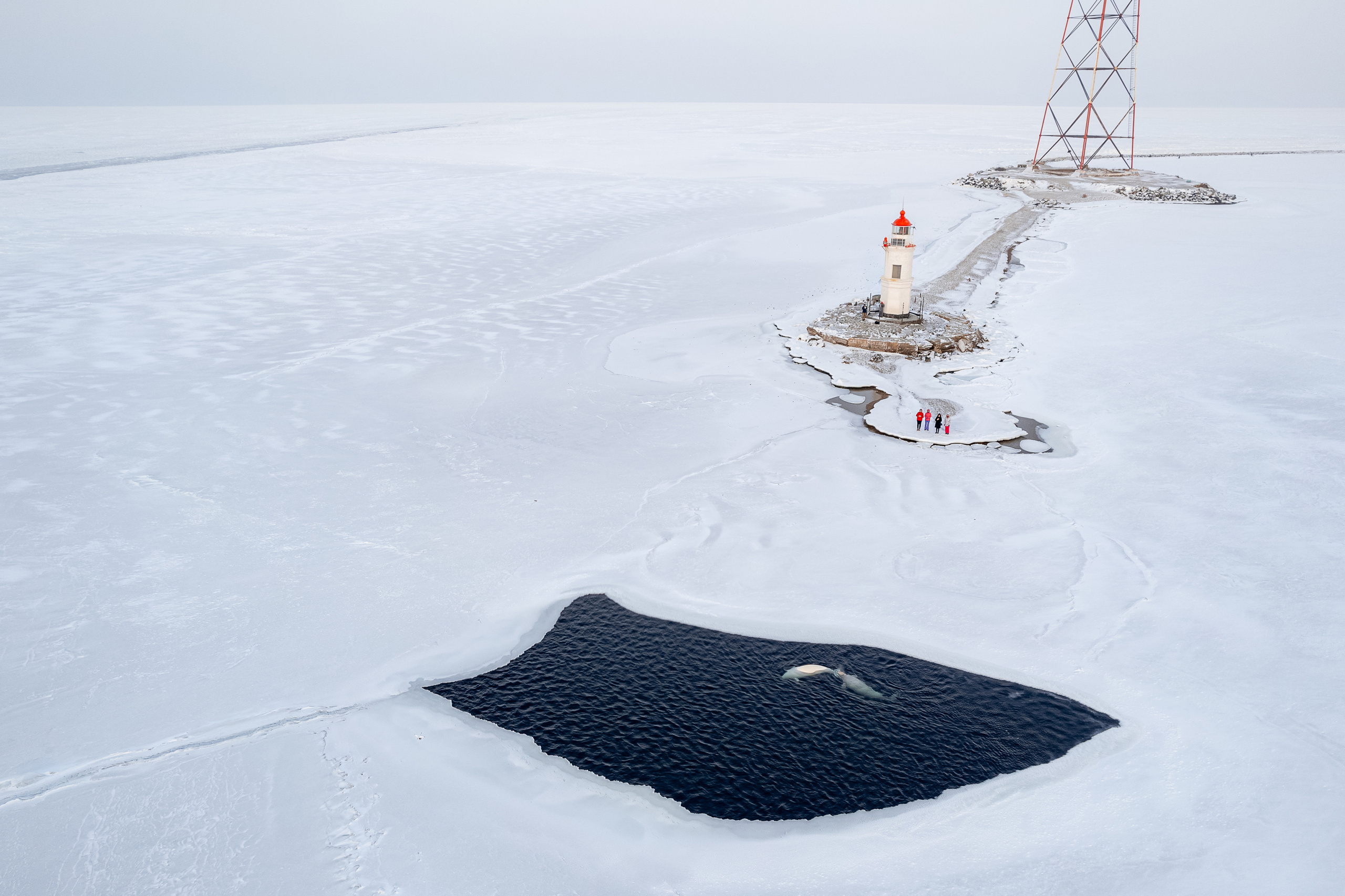 Владивосток. Wedding and family photographer in Vladivostok Anton Blokhin