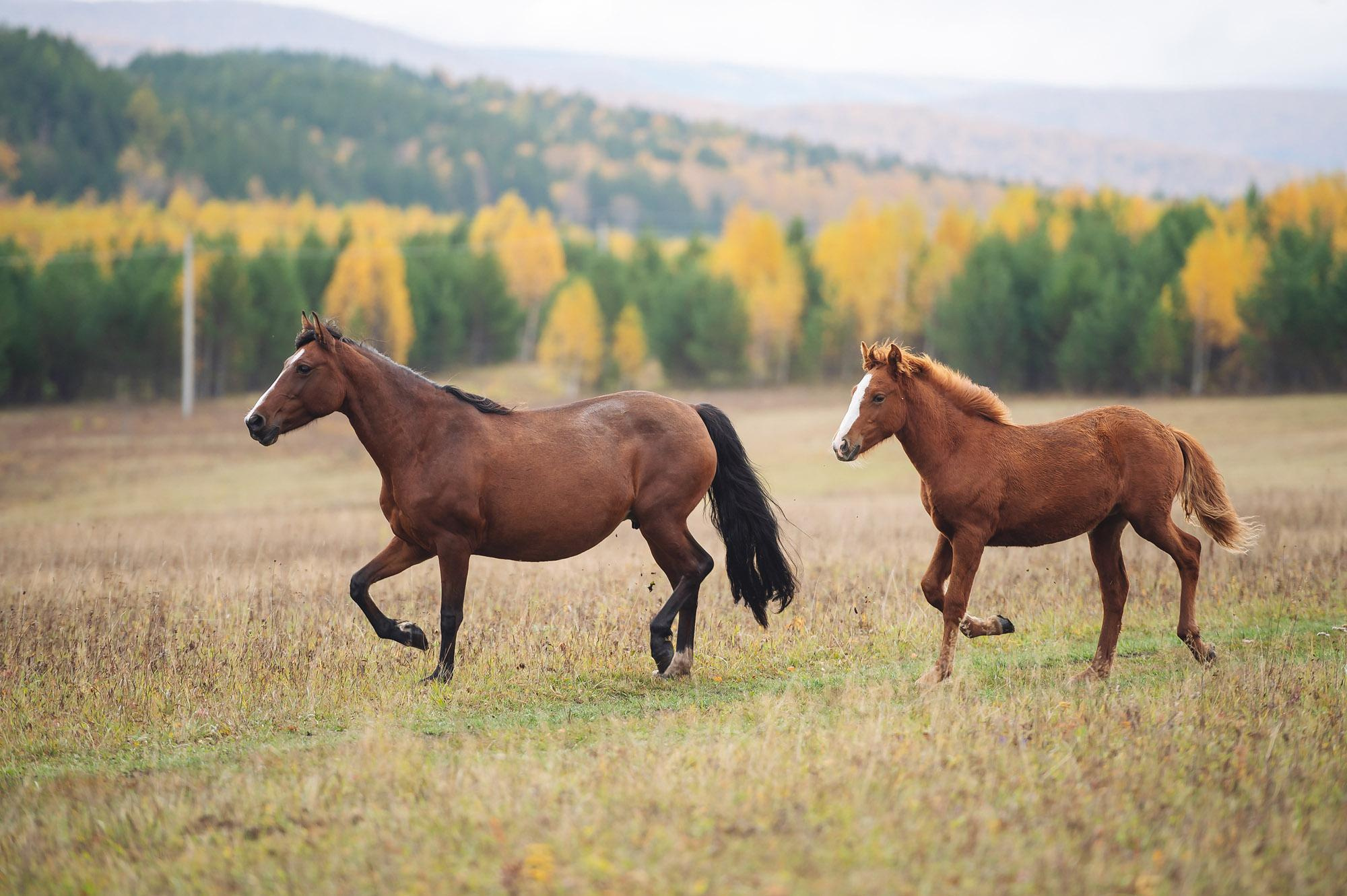 IREMELRACE. Спортивный фотограф в Уфе Евгений Буров