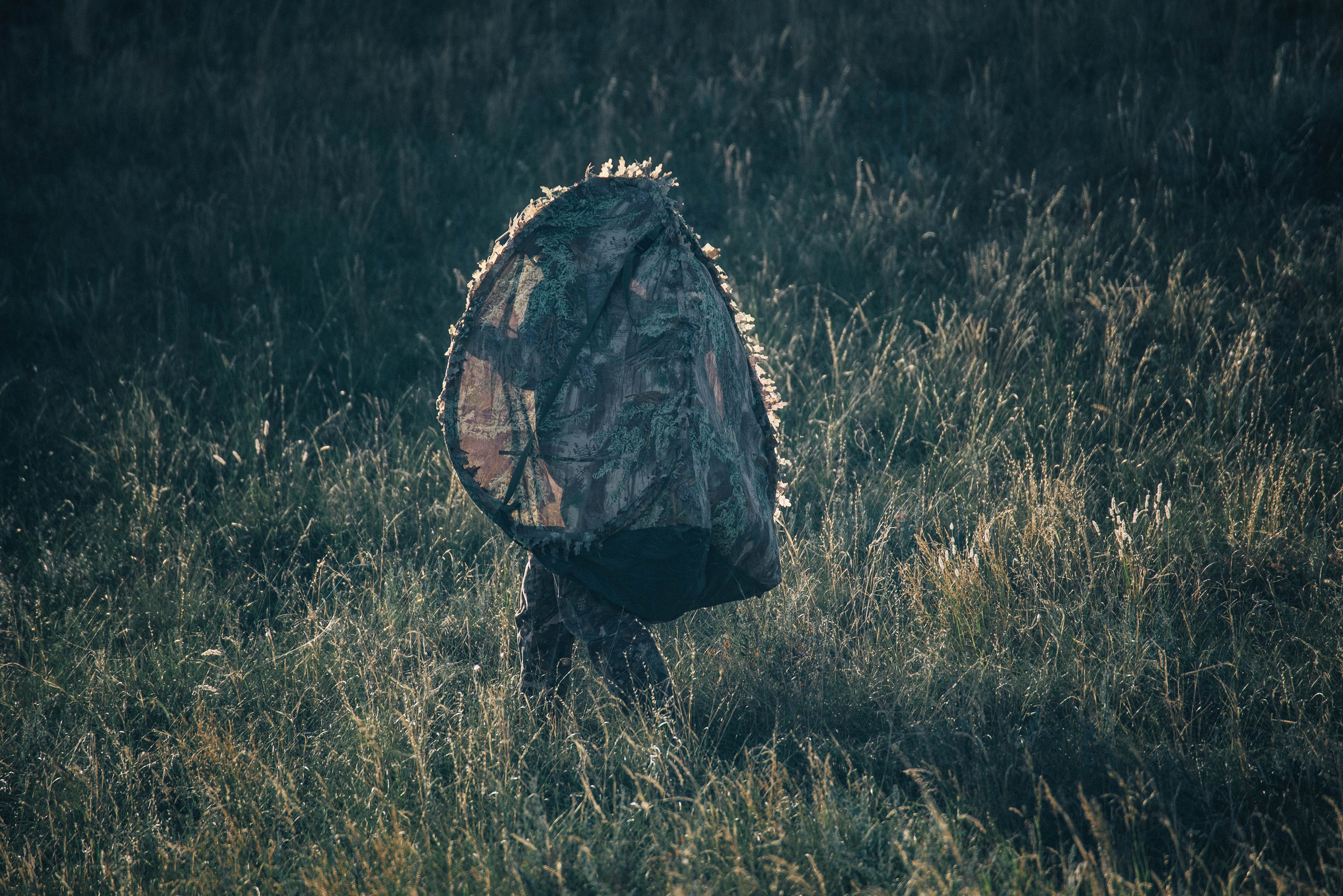 Фотопленэр — Подвальские террасы и болото. Фотообъединение Самарского областного отделения Союза журналистов России