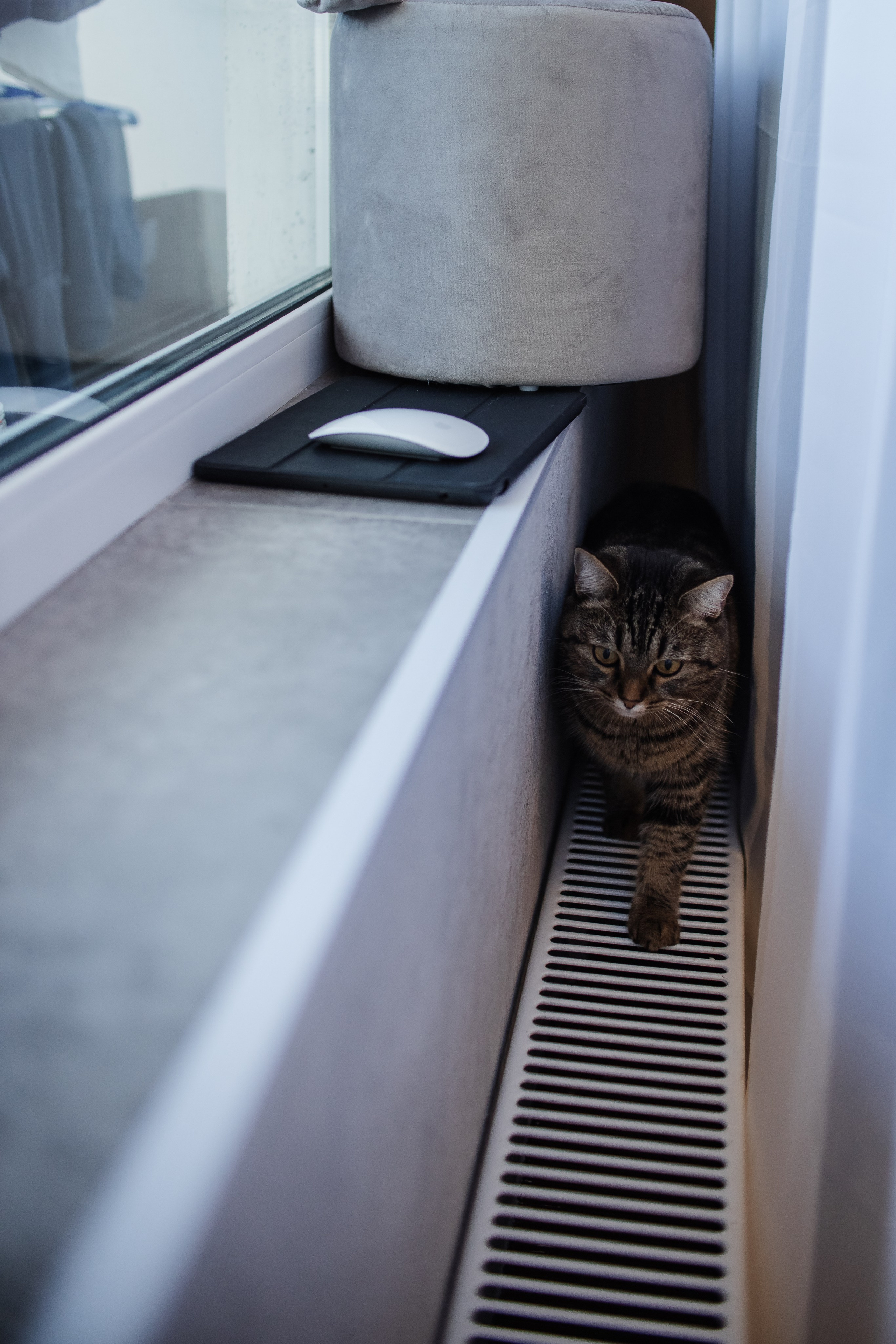 Домашняя. Семейный и детский фотограф в Челябинске Елена Вышегородцева