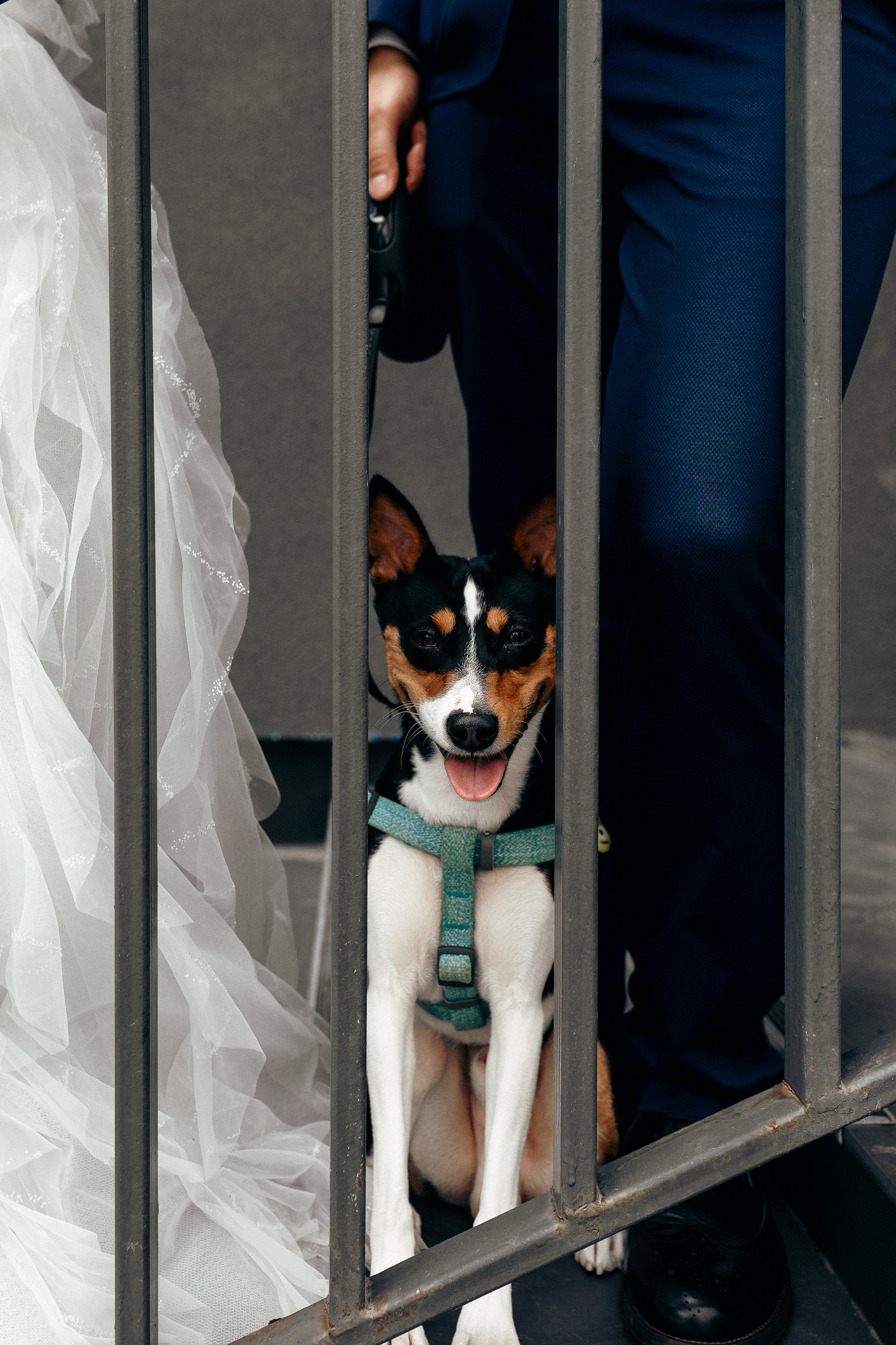 Герман и Маргарита. Свадебный и женский фотограф Оренбург | Денис Наружных