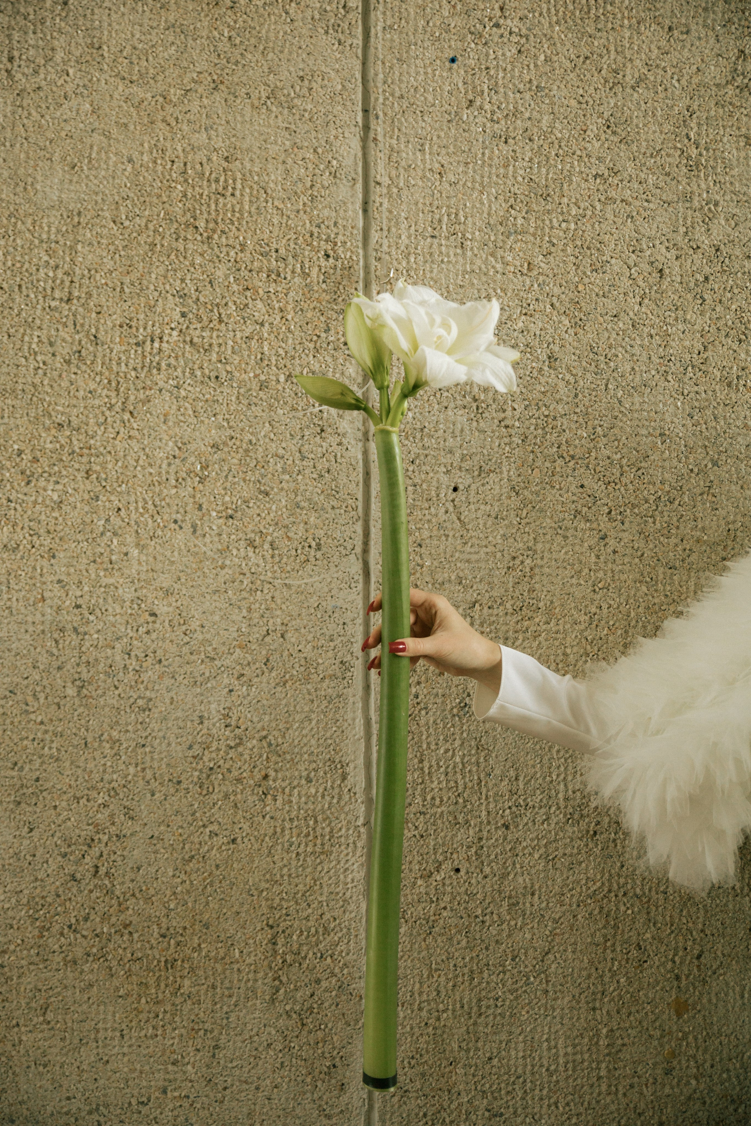 Яна. Свадебный и семейный фотограф