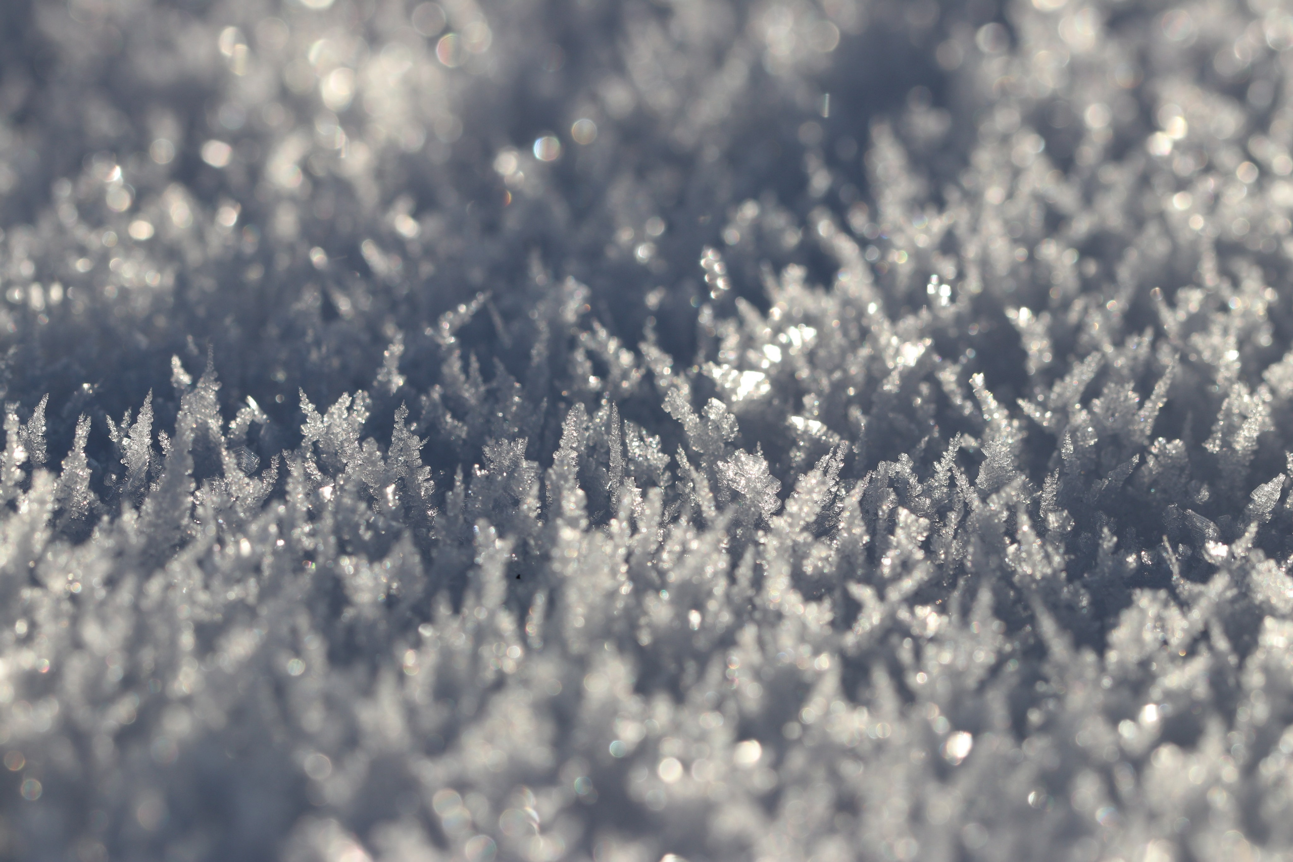 Аршан. Январь 2022. Путешественник-фотограф из Санкт-Петербурга Татьяна Свистулина