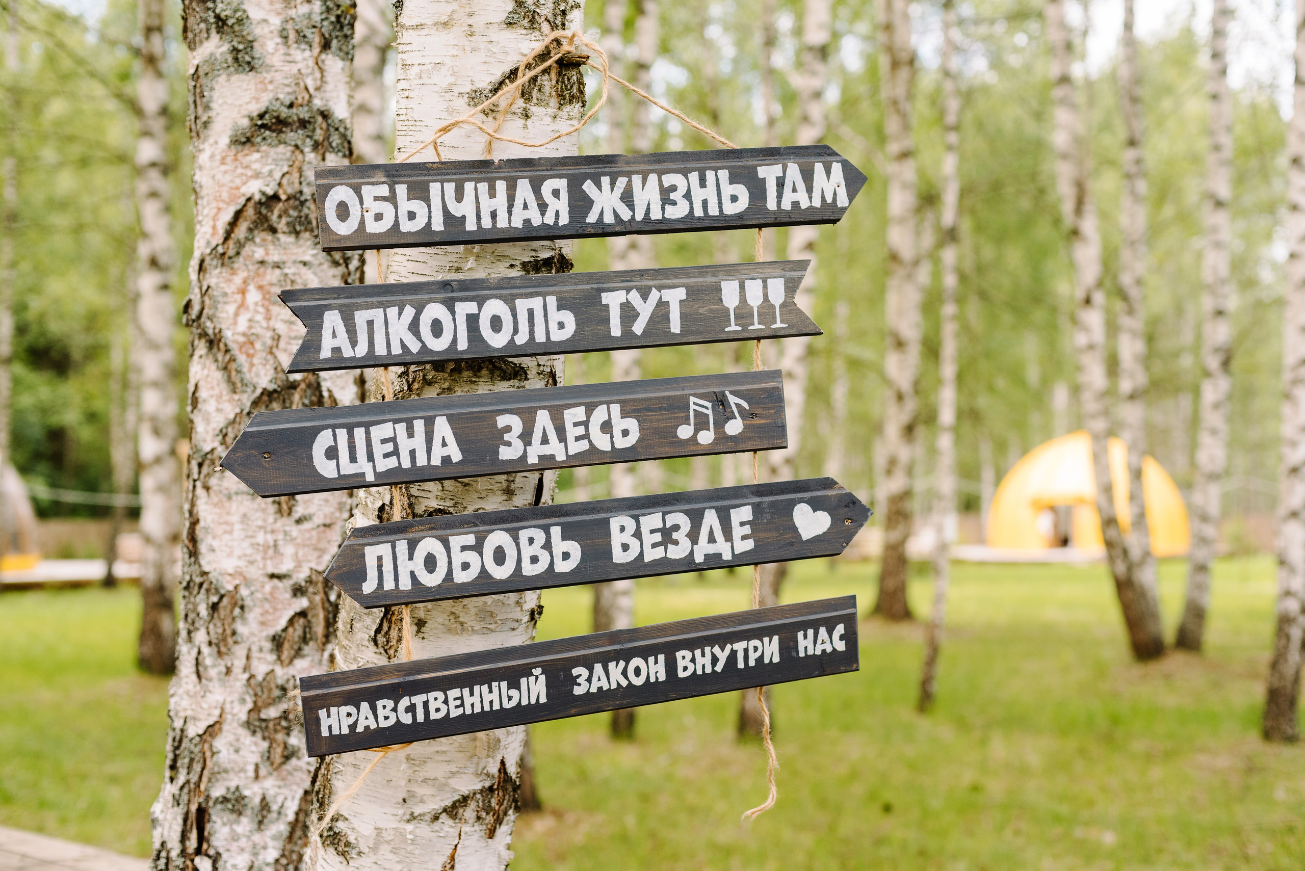 Катя + Дима WEDSTOCK. Фотограф Алиса Калинина