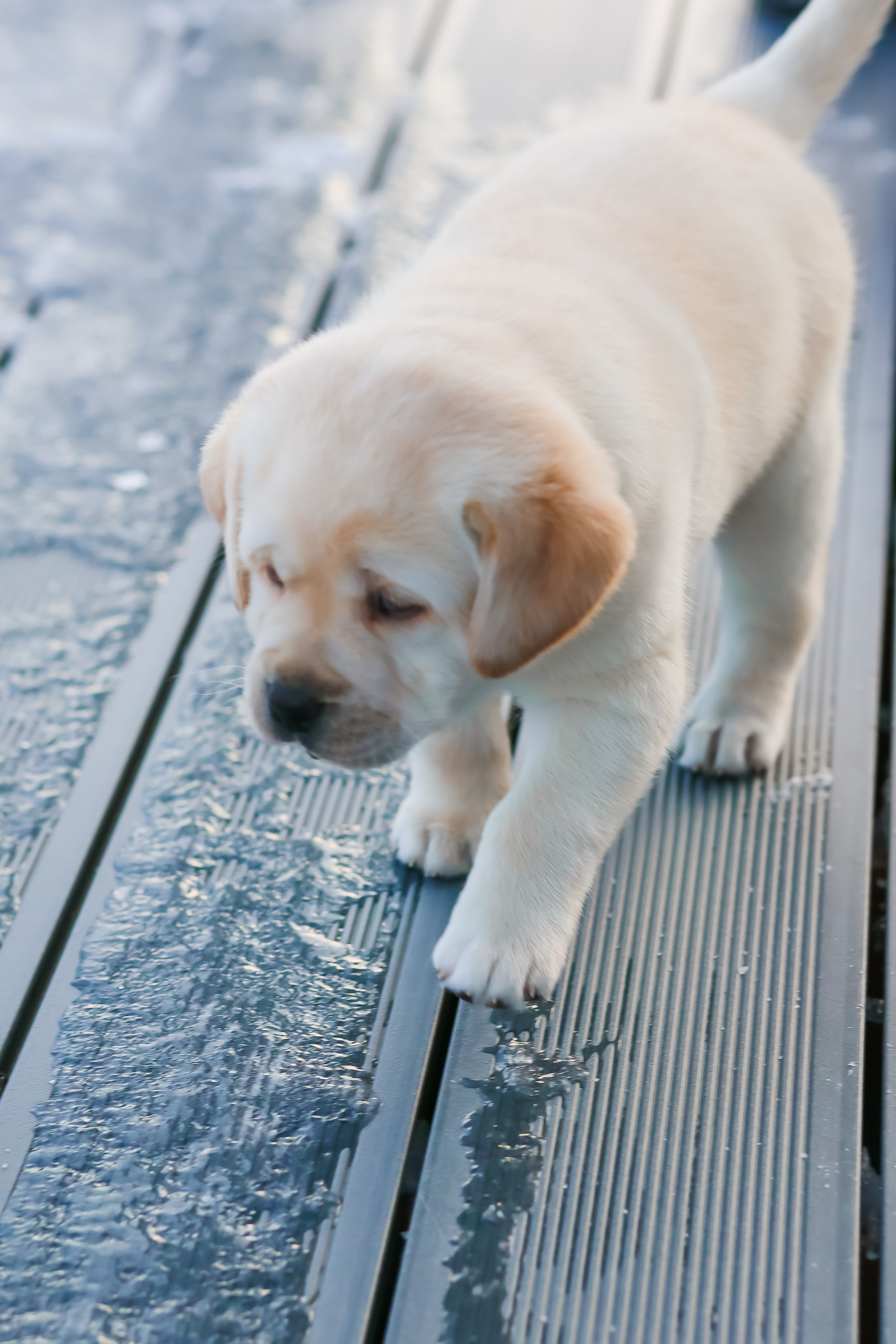 Julia FAMALY. ФОТОГРАФ ЕКАТЕРИНБУРГ