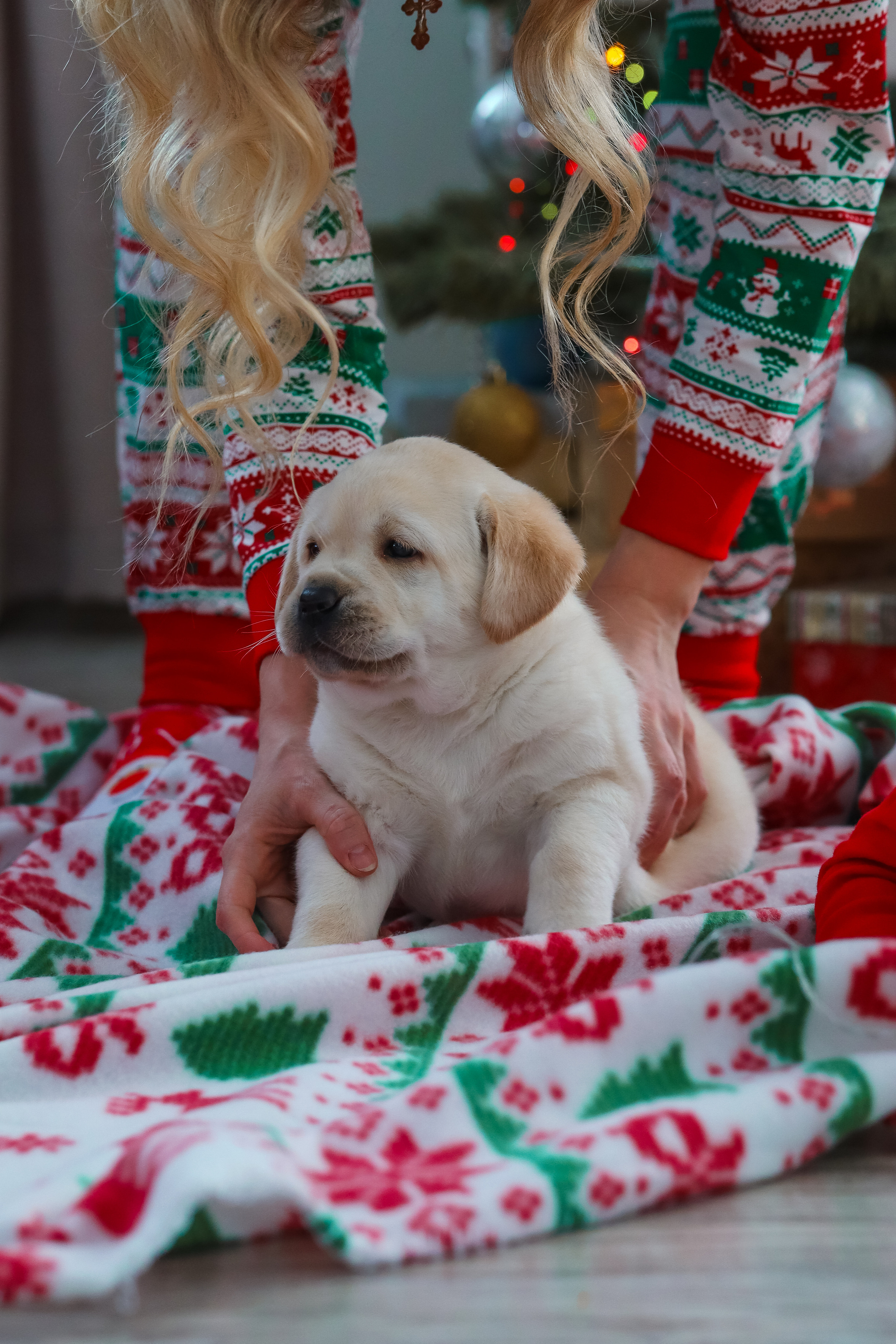 Julia FAMALY. ФОТОГРАФ ЕКАТЕРИНБУРГ