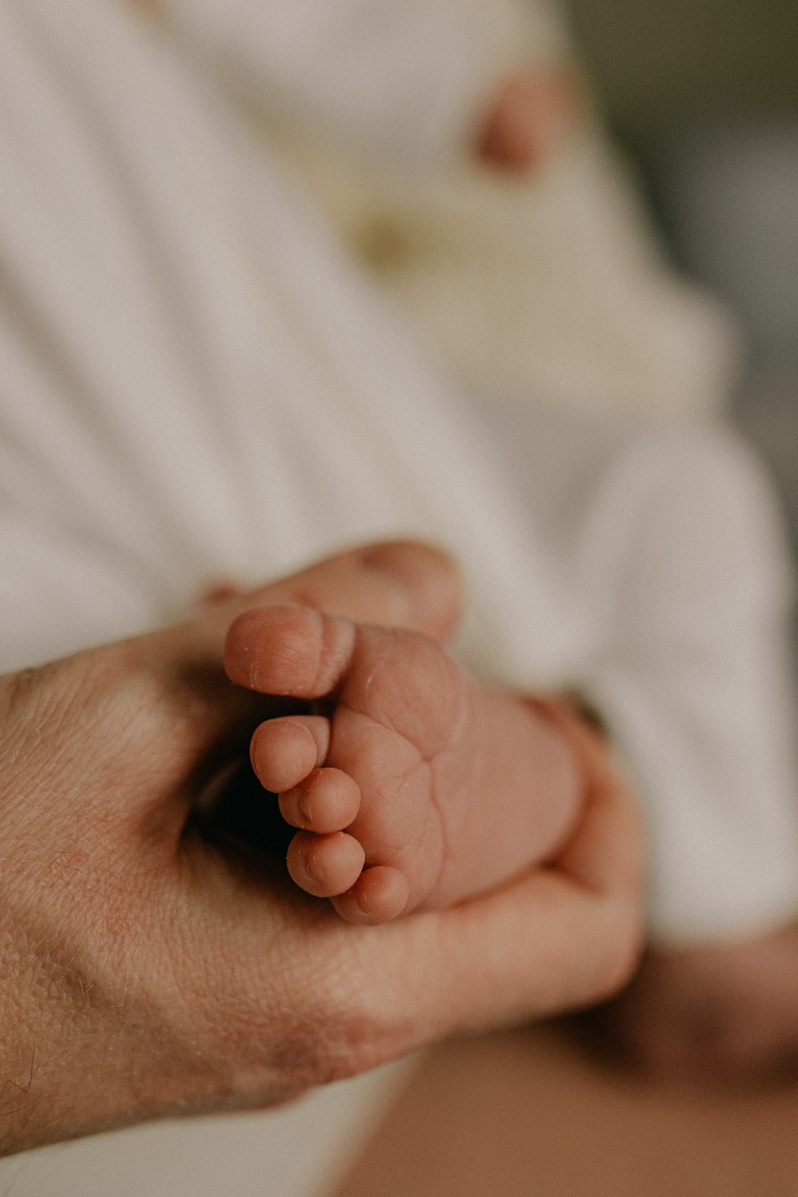 Даша, Ваня, Лео. Семейный фотограф Москва