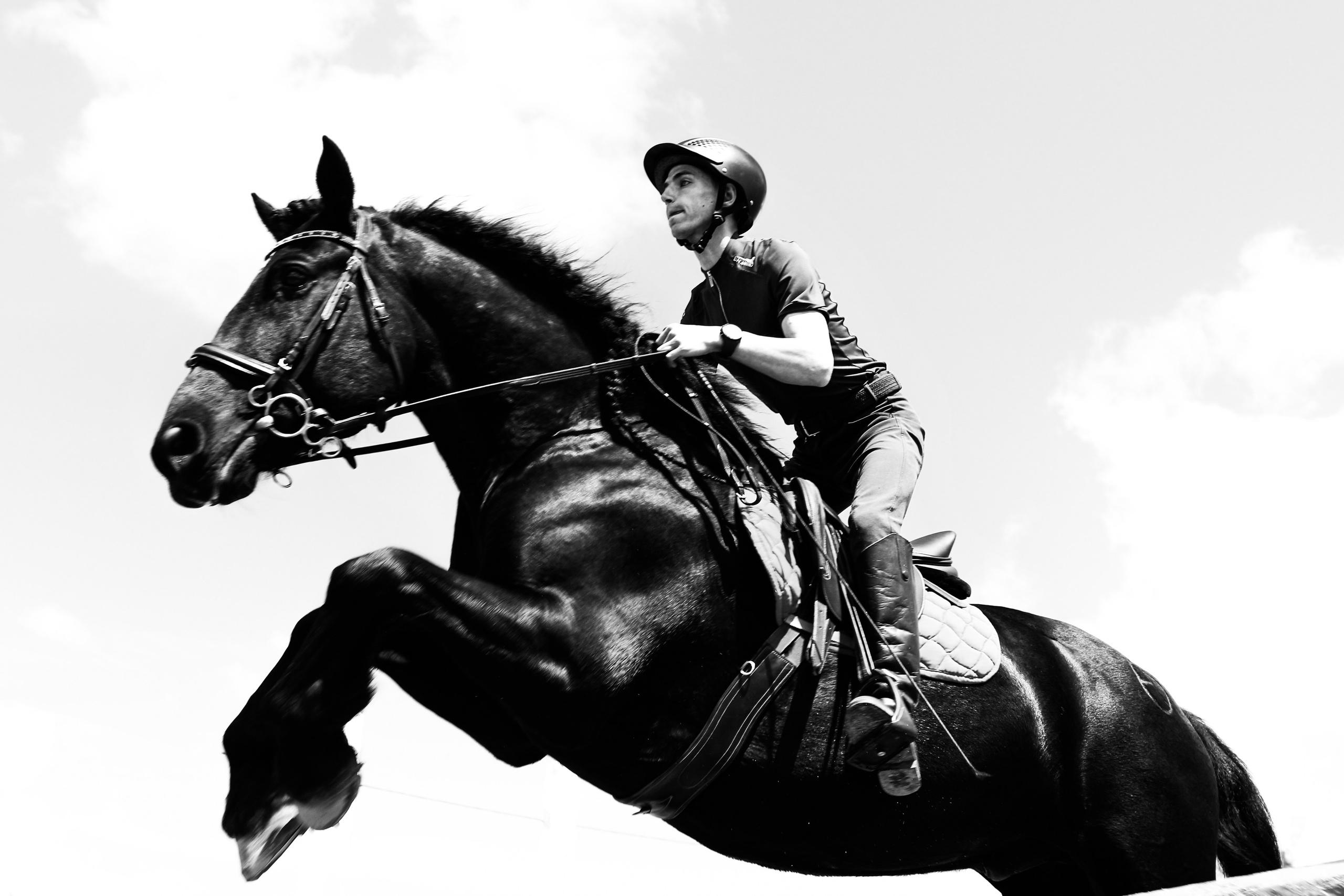 Лошади «Каскад» и «Брилиант». Алиса Томшина — Фотограф / Видеограф